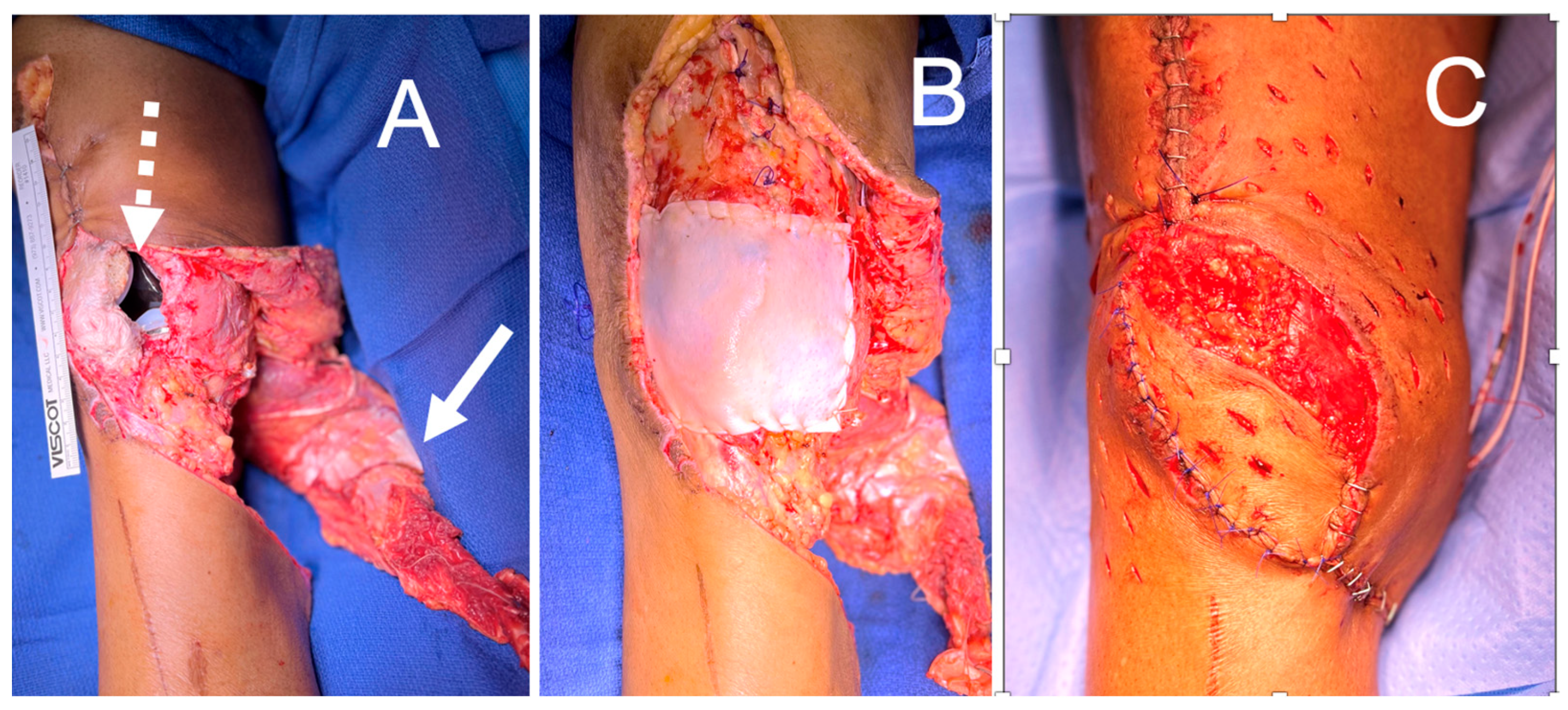 Bioengineering 11 00422 g009