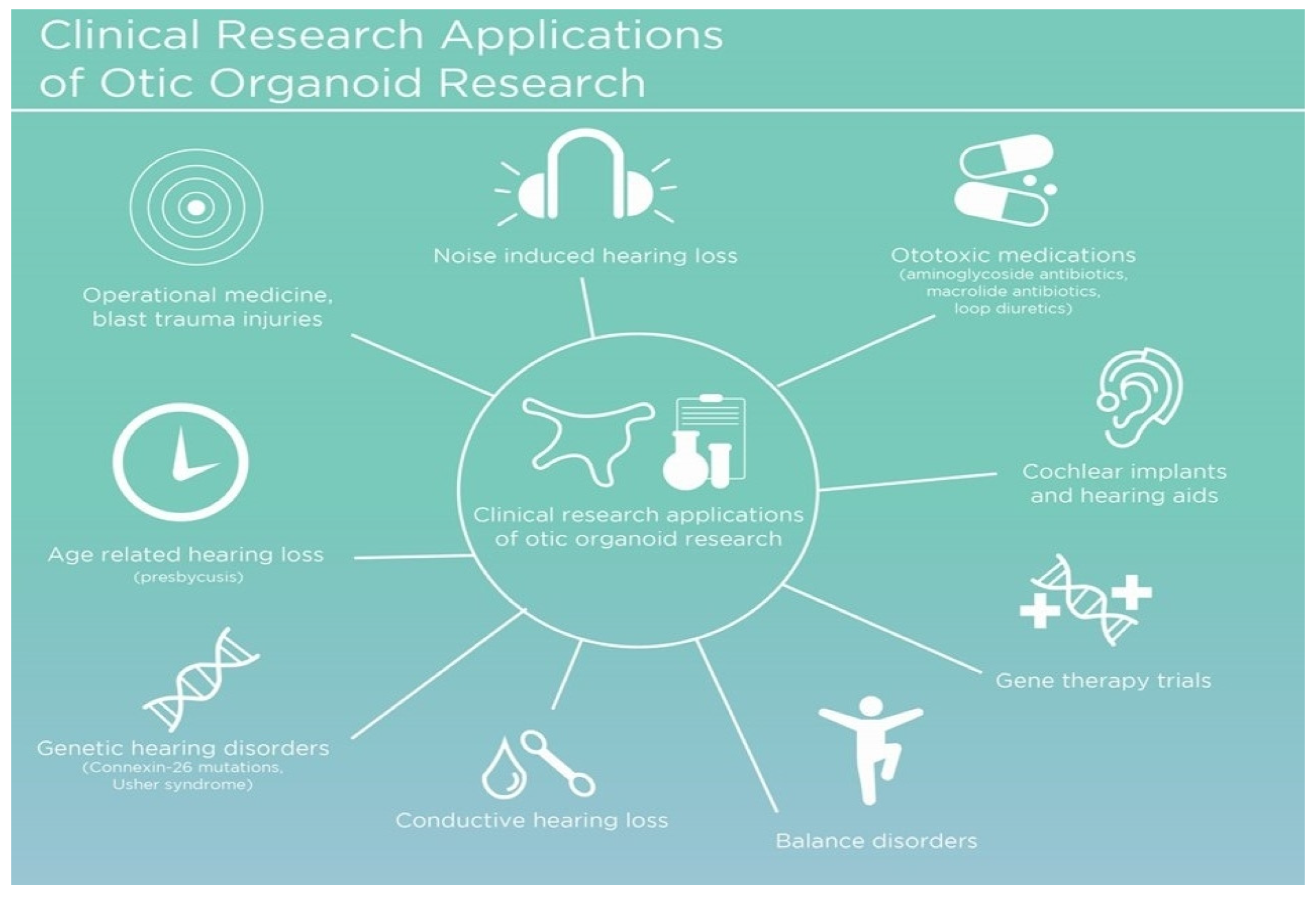 Bioengineering 11 00425 g002