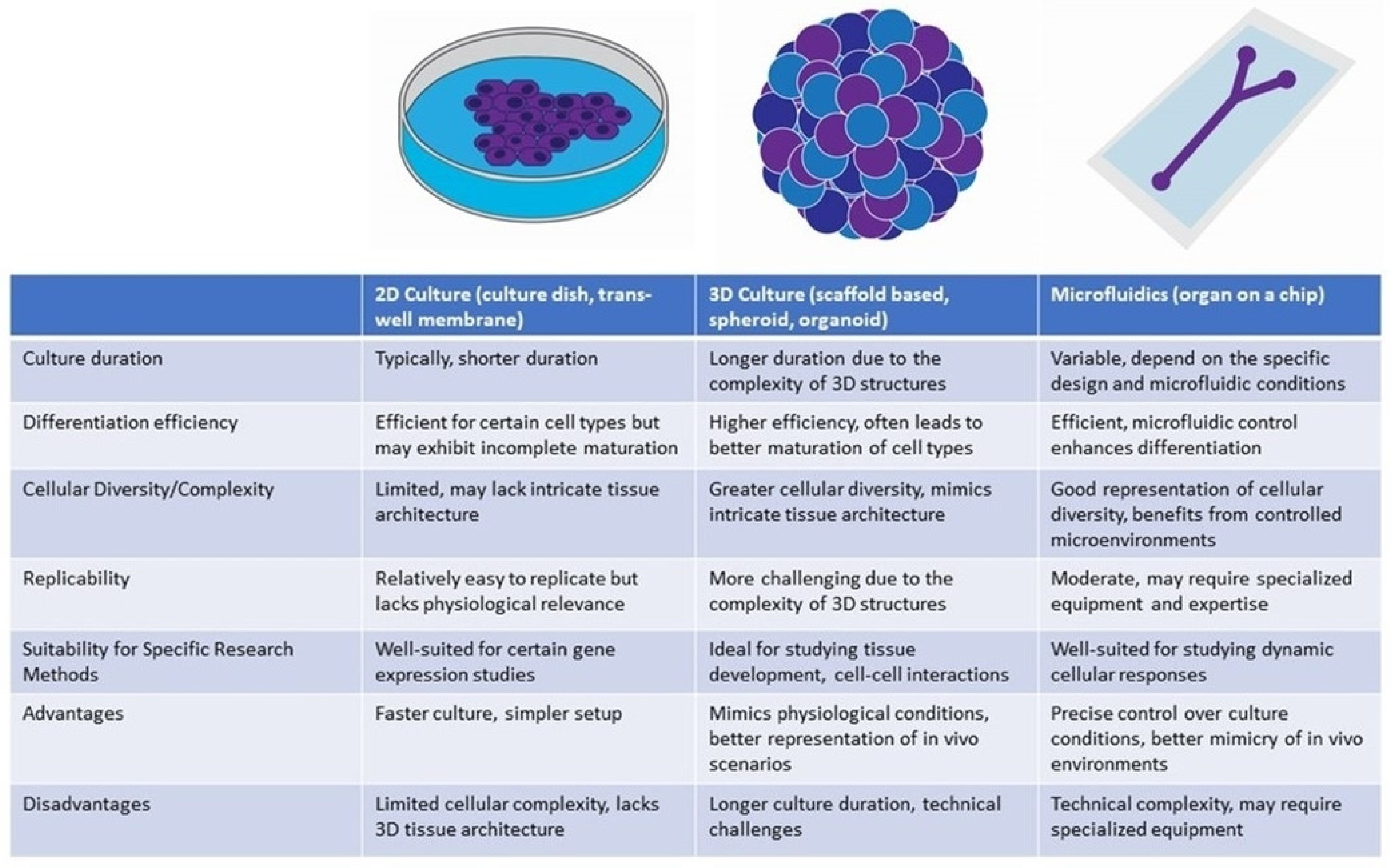 Bioengineering 11 00425 g004