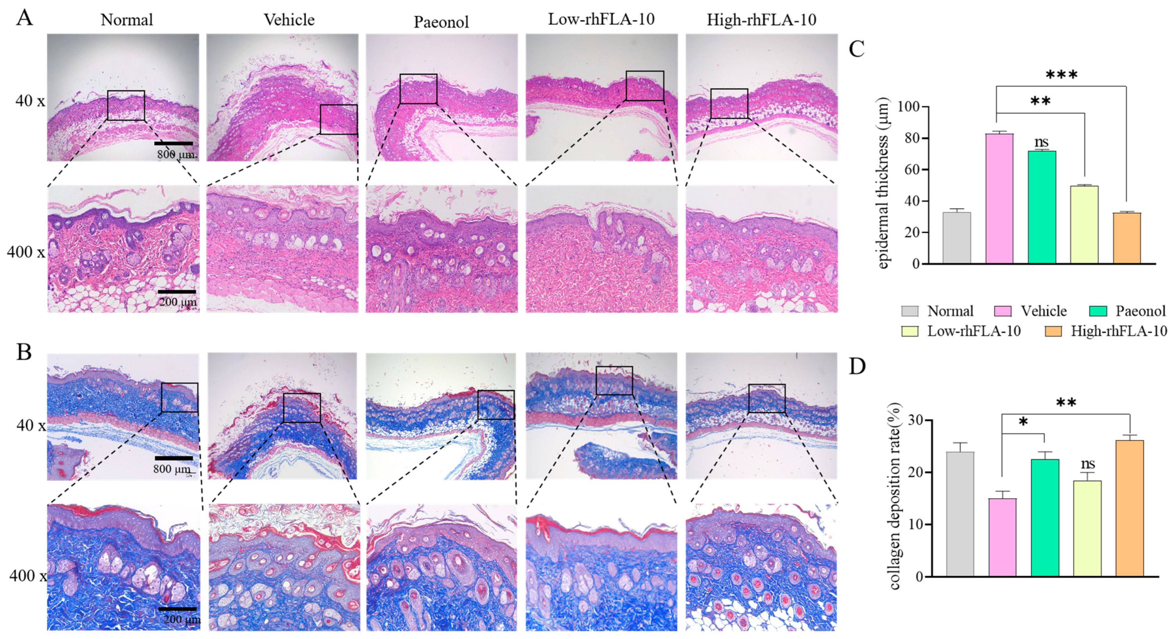 Bioengineering 11 00426 g005