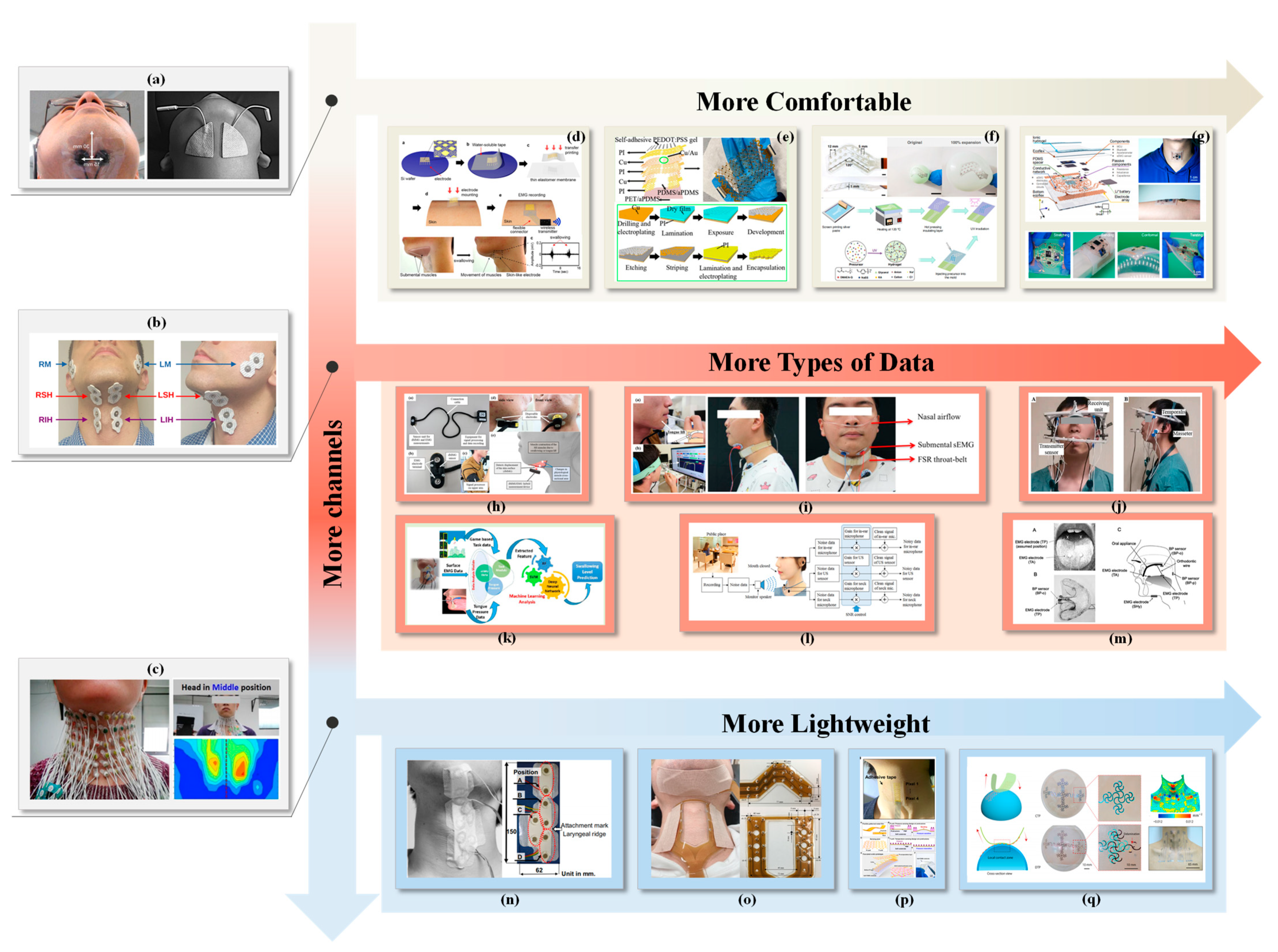 Bioengineering 11 00430 g004