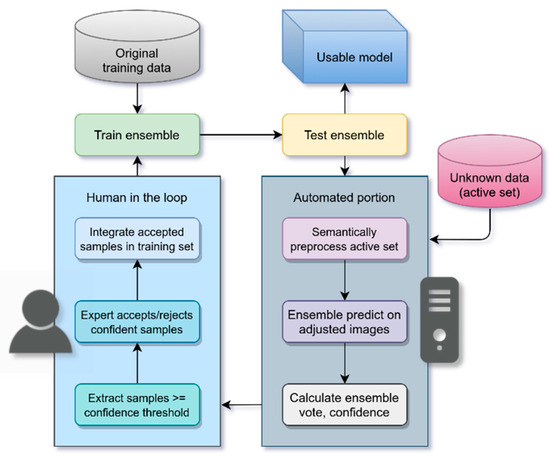 Bioengineering | Free Full-Text | Synergizing Deep Learning-Enabled ...