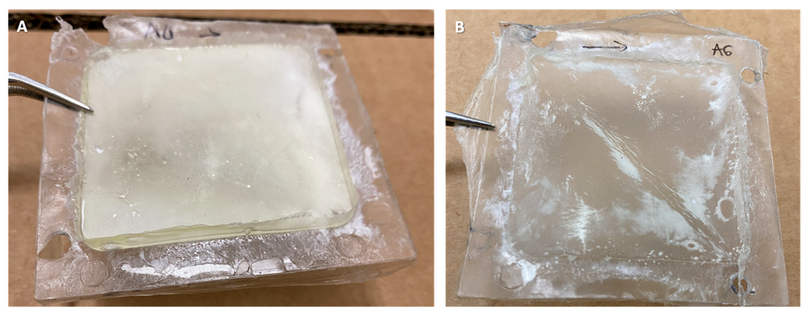 Bioengineering 11 00436 g001