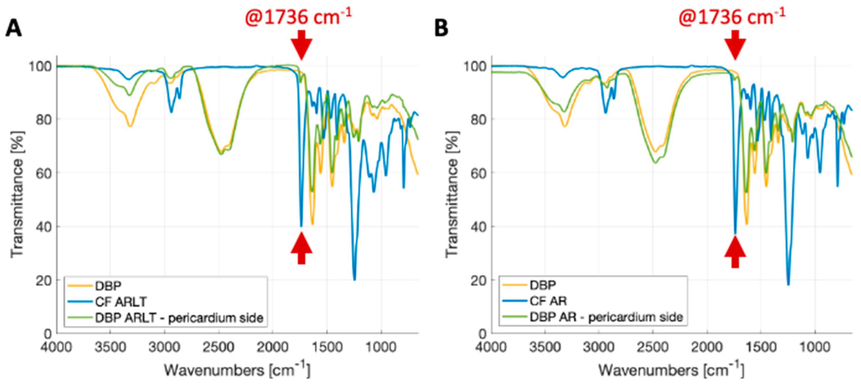 Bioengineering 11 00436 g002