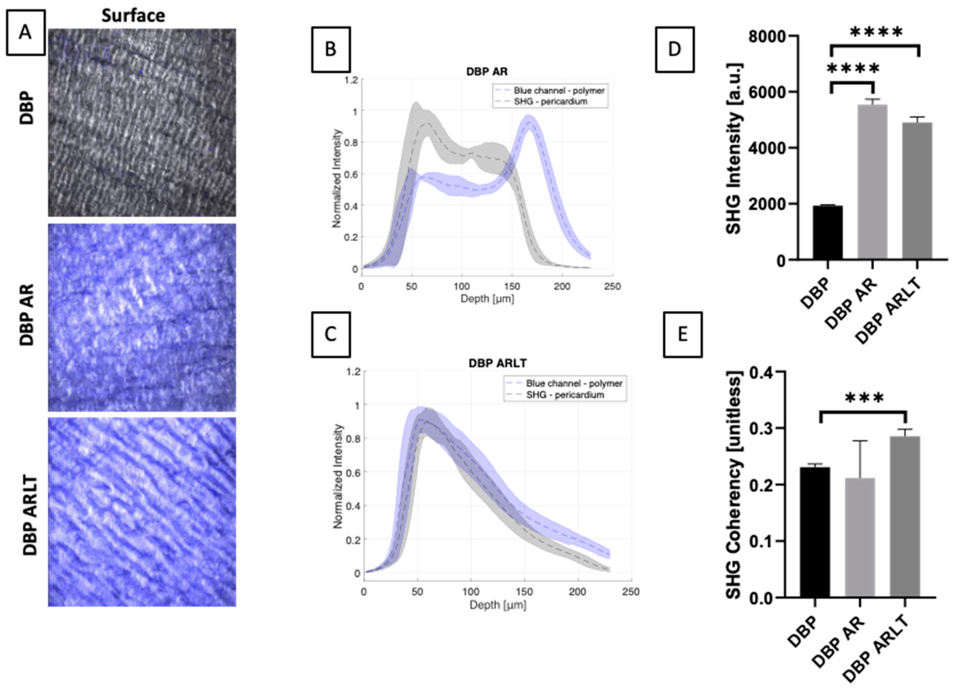 Bioengineering 11 00436 g003