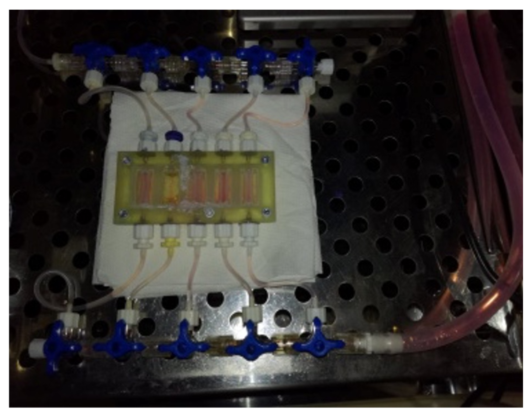 Bioengineering 11 00439 g003