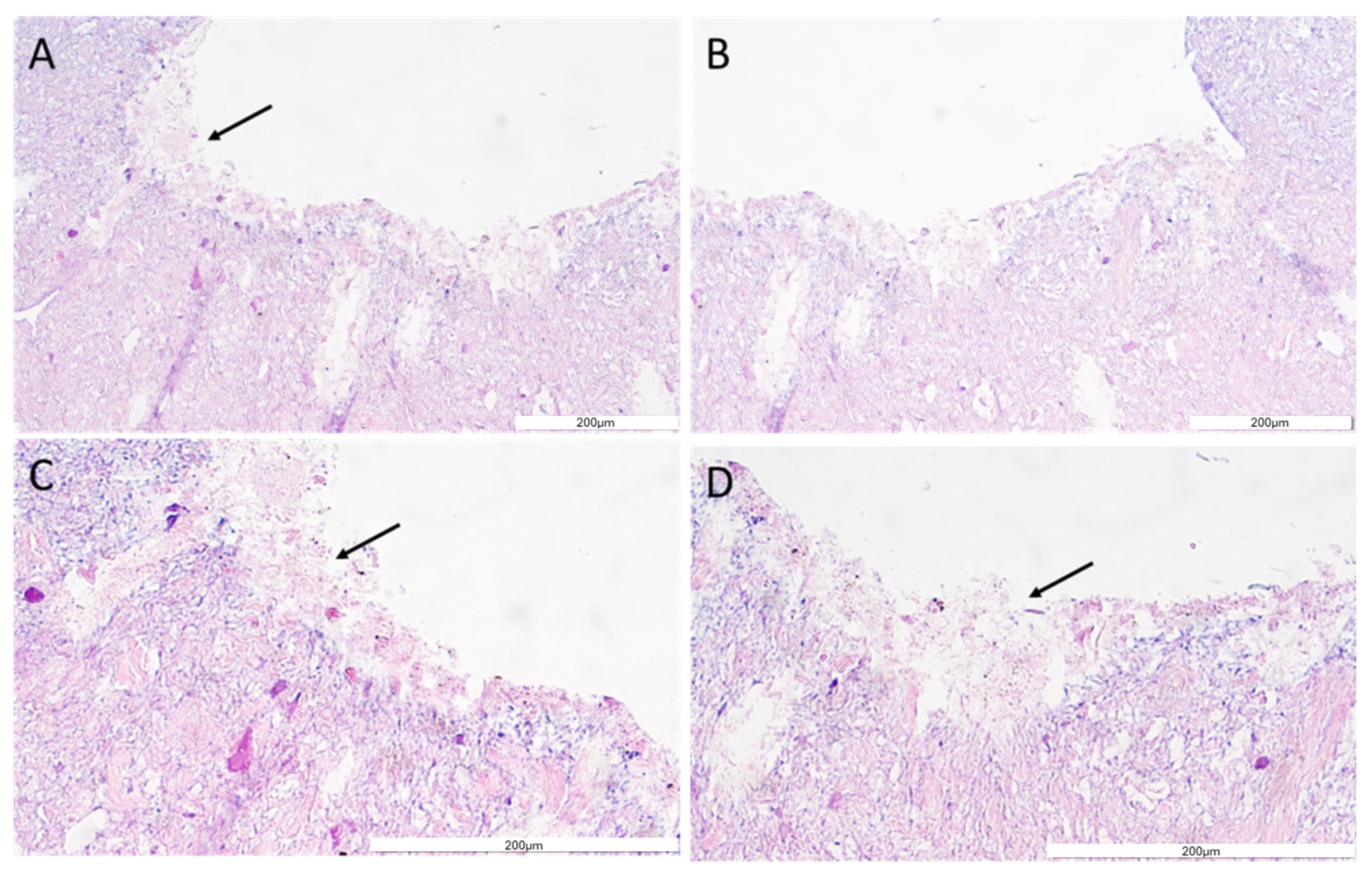 Bioengineering 11 00439 g008