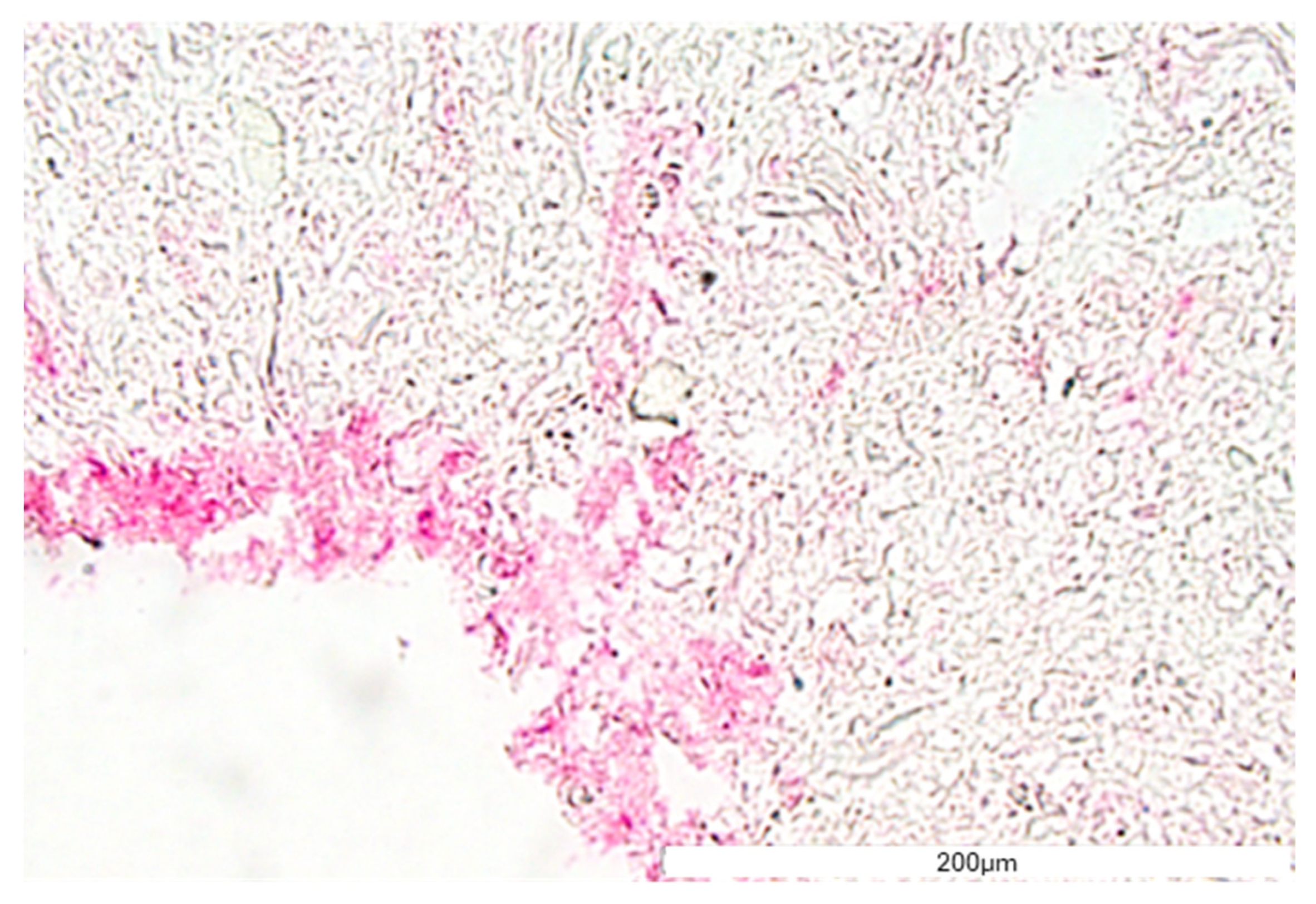 Bioengineering 11 00439 g010