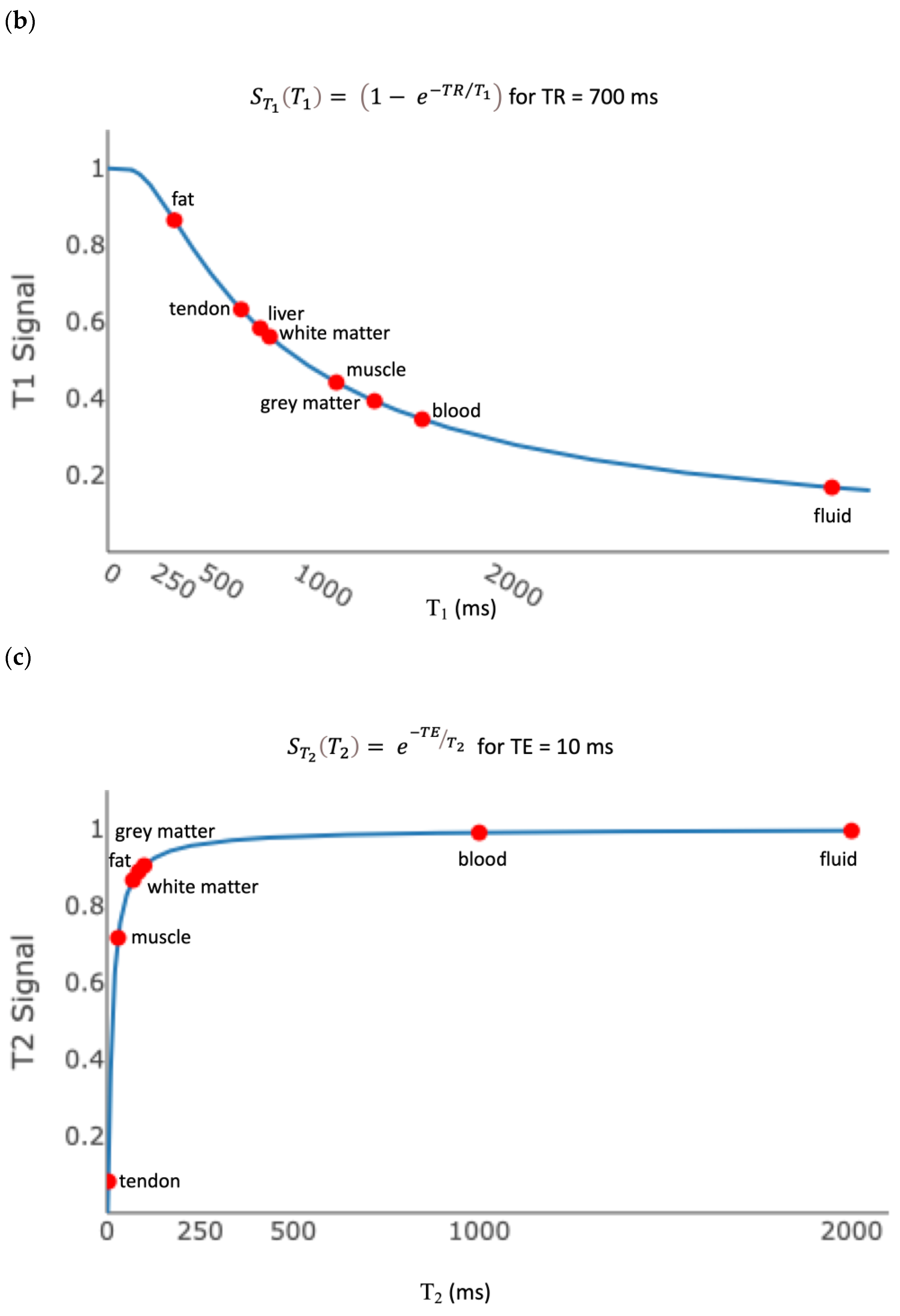 Bioengineering 11 00441 g002b
