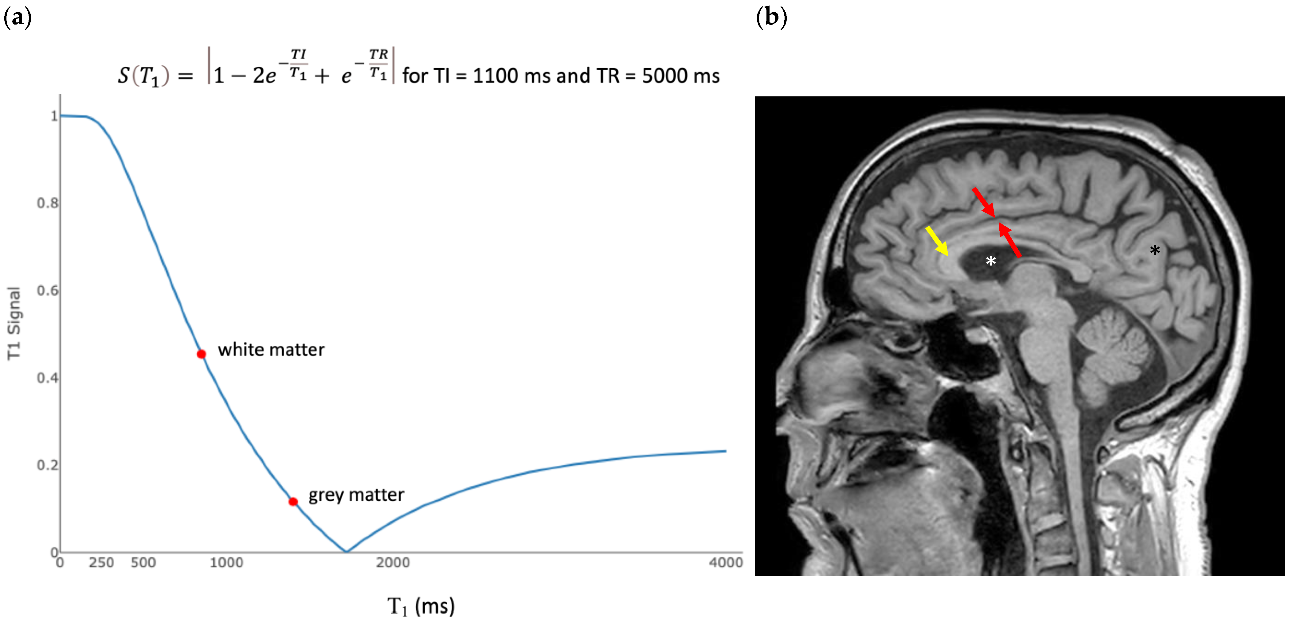 Bioengineering 11 00441 g005