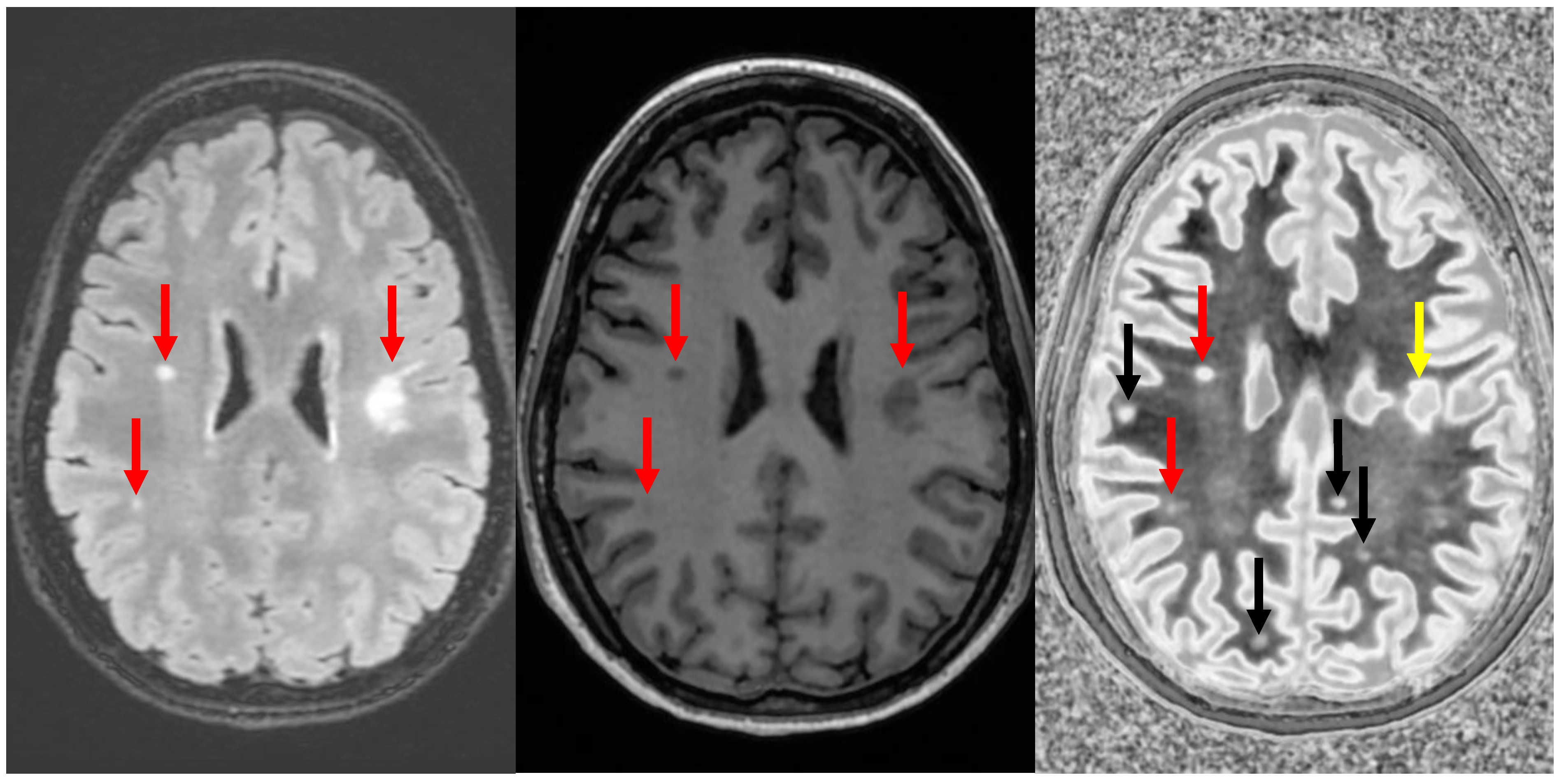Bioengineering 11 00441 g012
