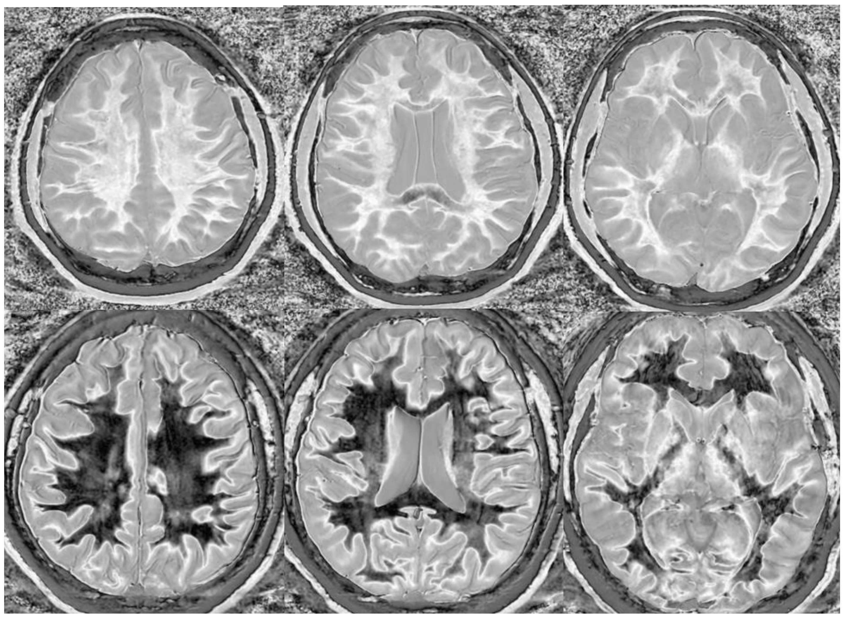 Bioengineering 11 00441 g017