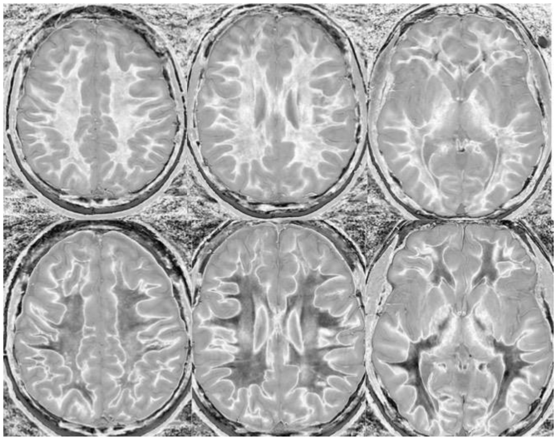 Bioengineering 11 00441 g019