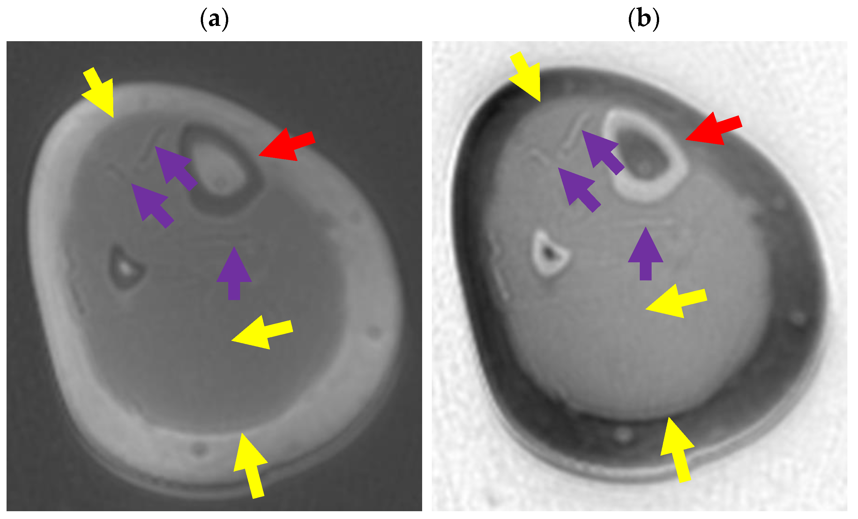 Bioengineering 11 00441 g021a