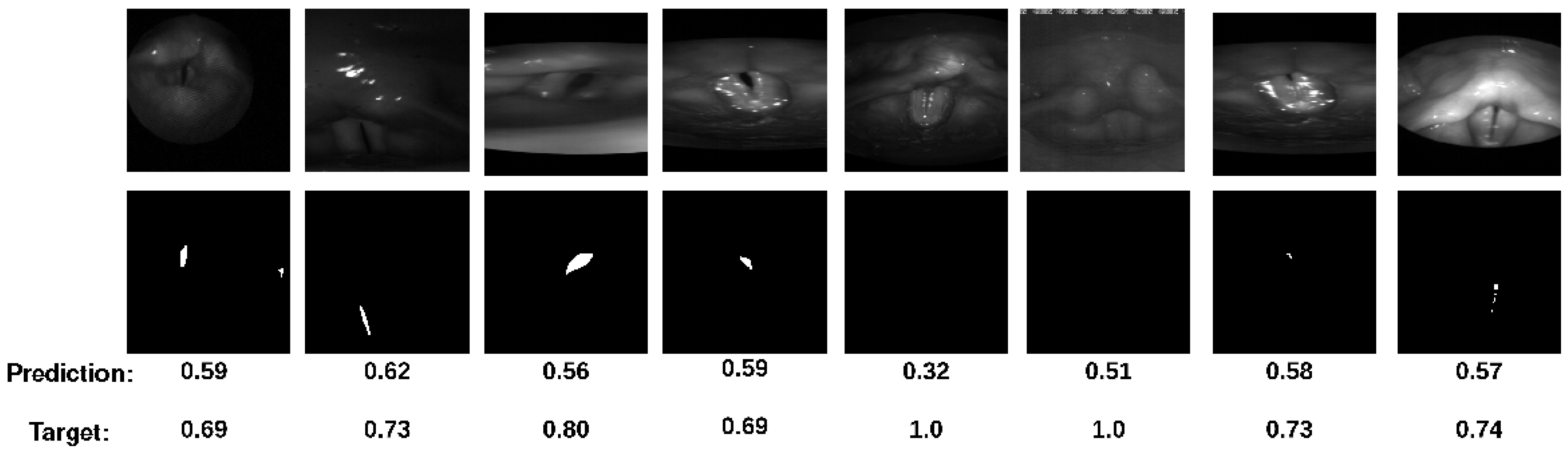 Bioengineering 11 00443 g007