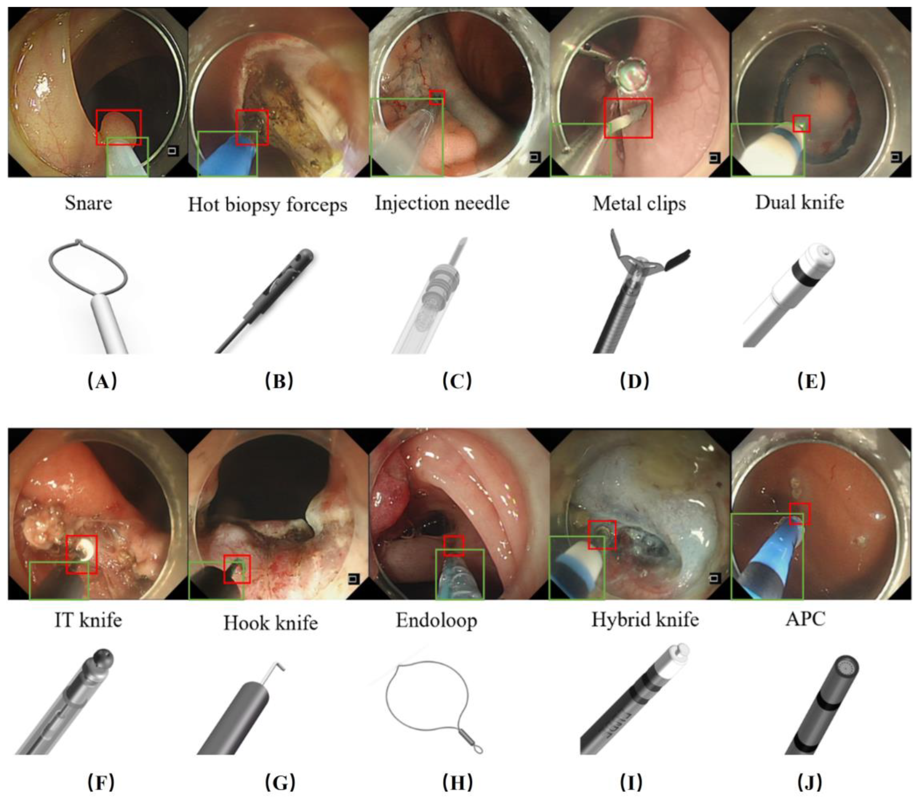 Bioengineering 11 00445 g001