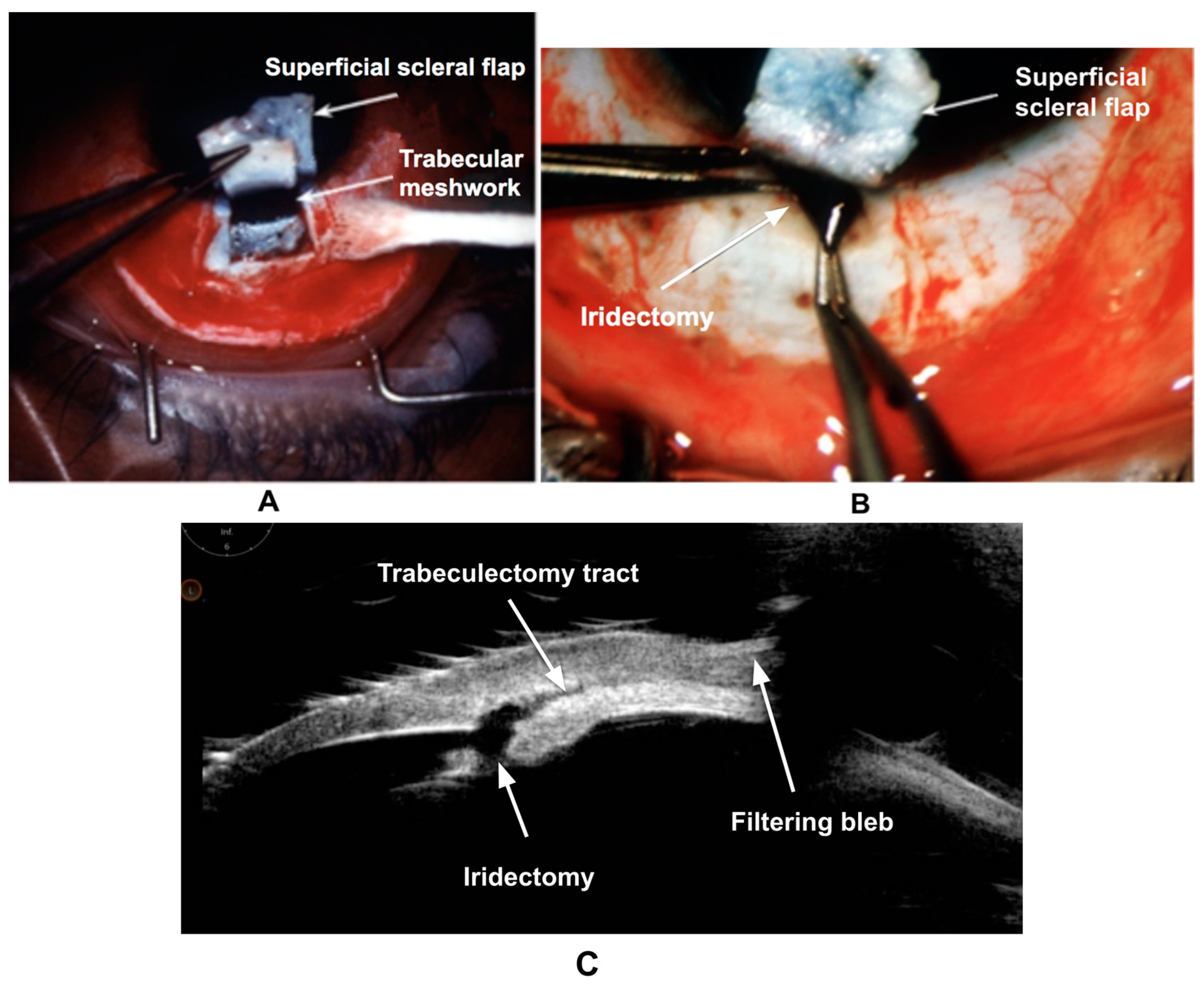 Bioengineering 11 00446 g005 Bioengineering 11 00446 g005