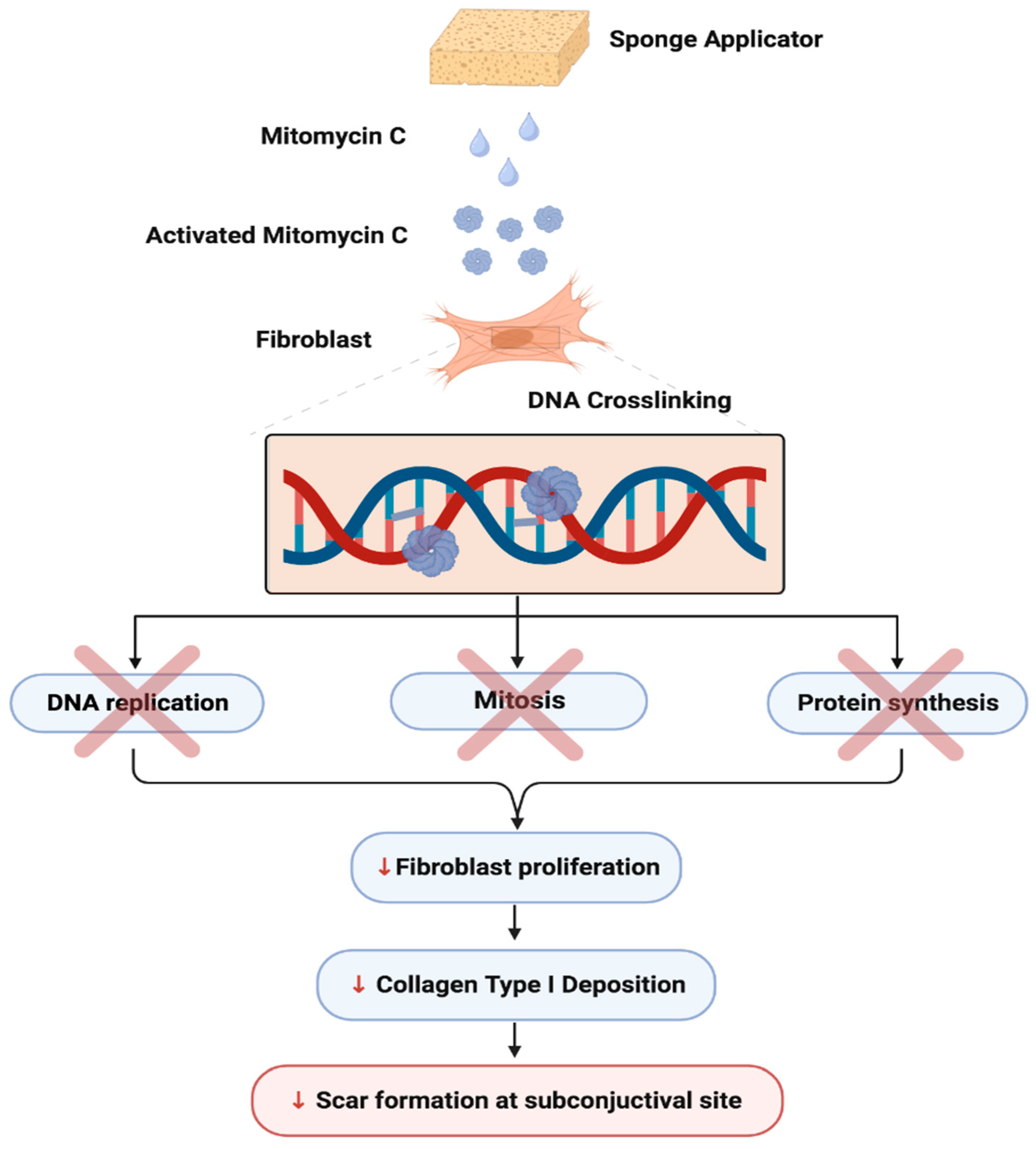 Bioengineering 11 00446 g008 Bioengineering 11 00446 g008