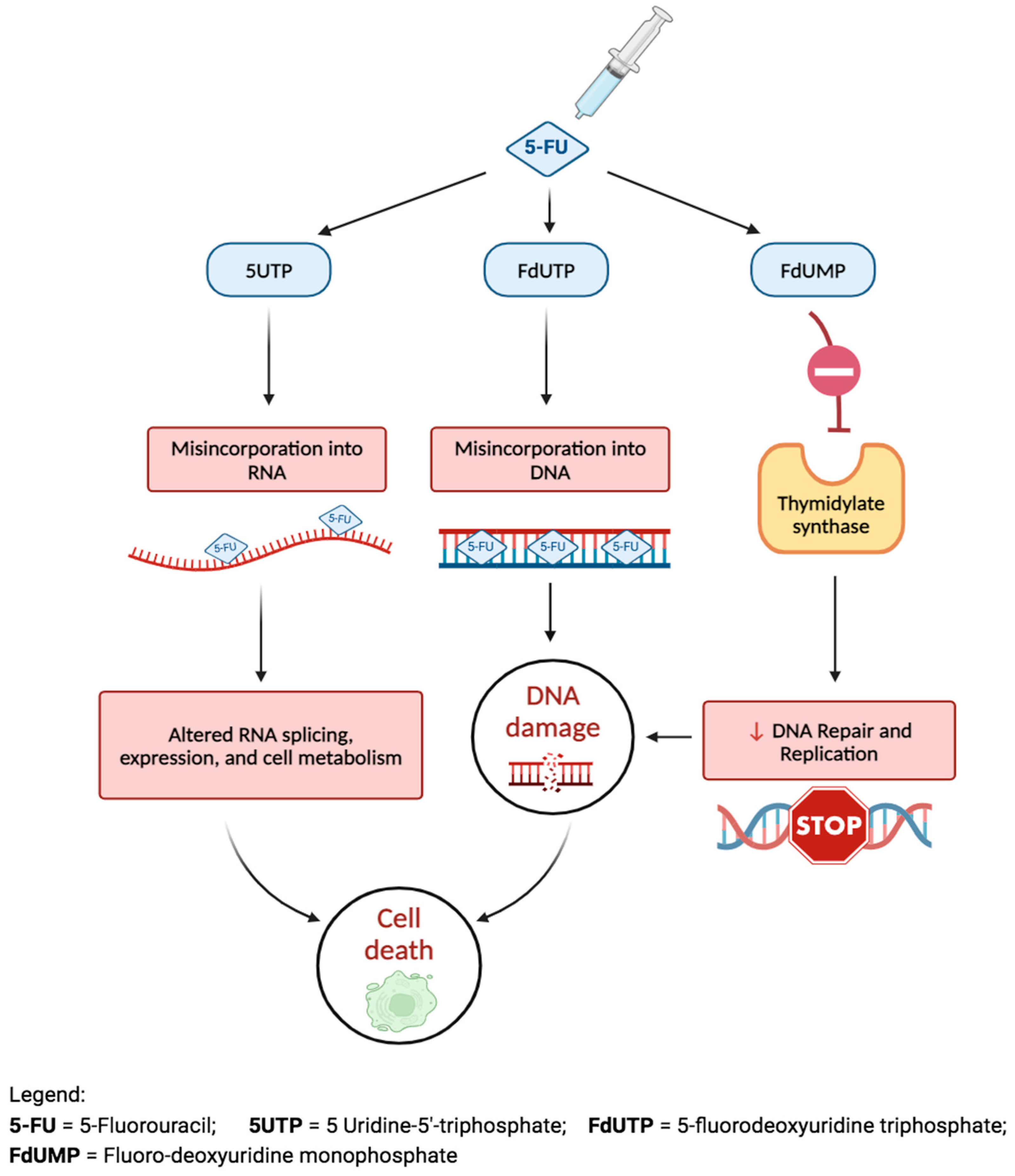 Bioengineering 11 00446 g009 Bioengineering 11 00446 g009