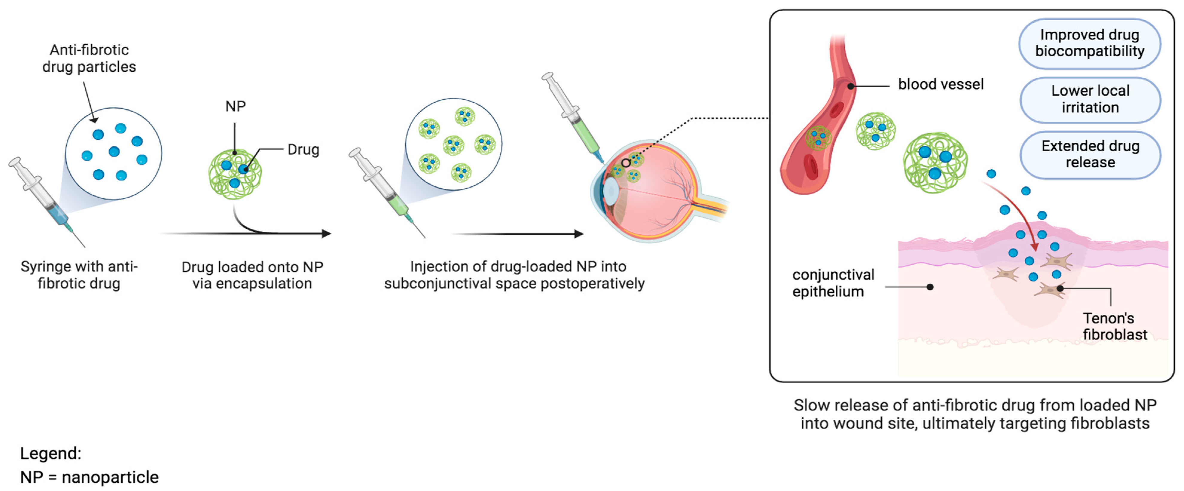 Bioengineering 11 00446 g010 Bioengineering 11 00446 g010