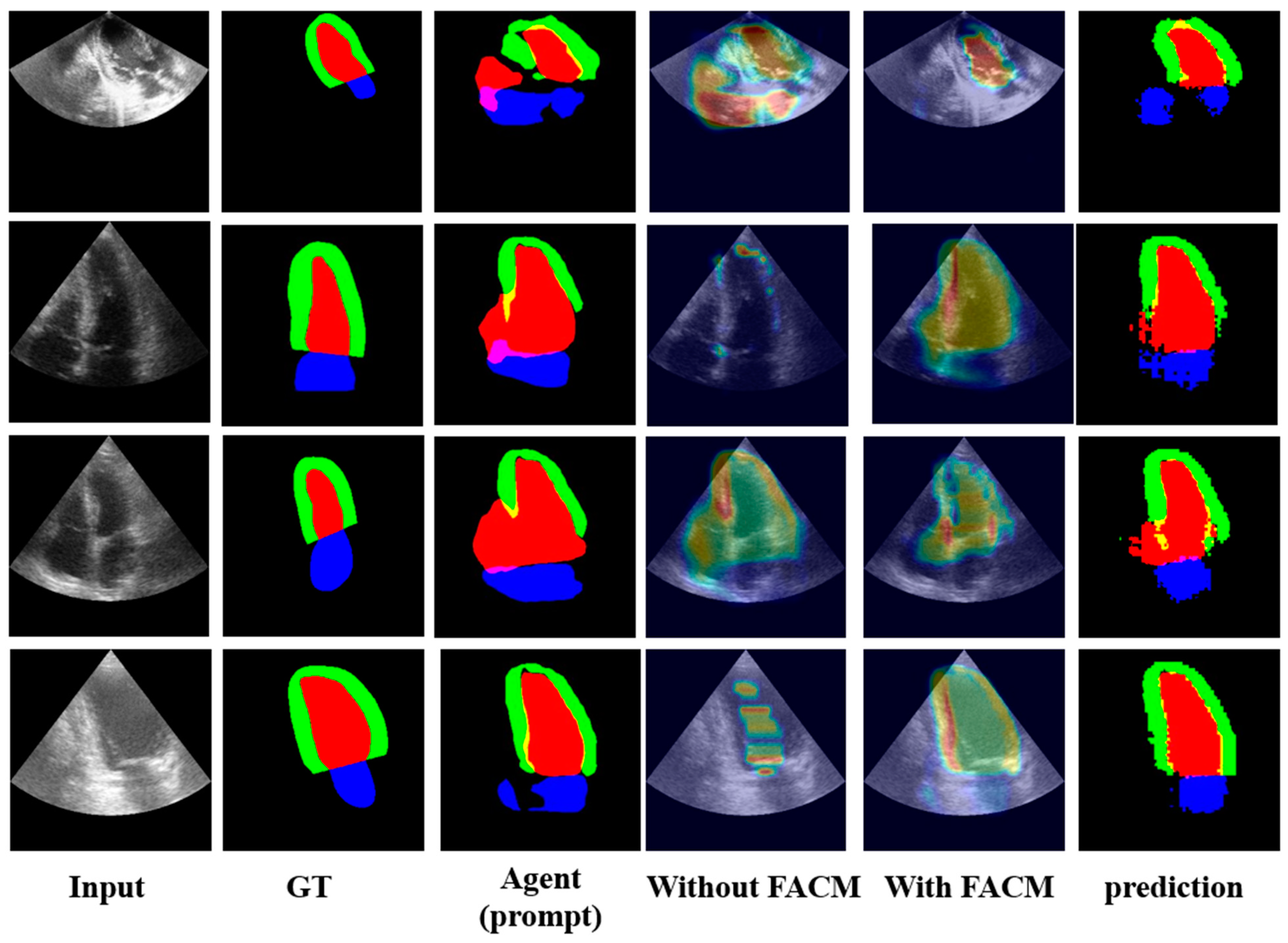 Bioengineering 11 00447 g005