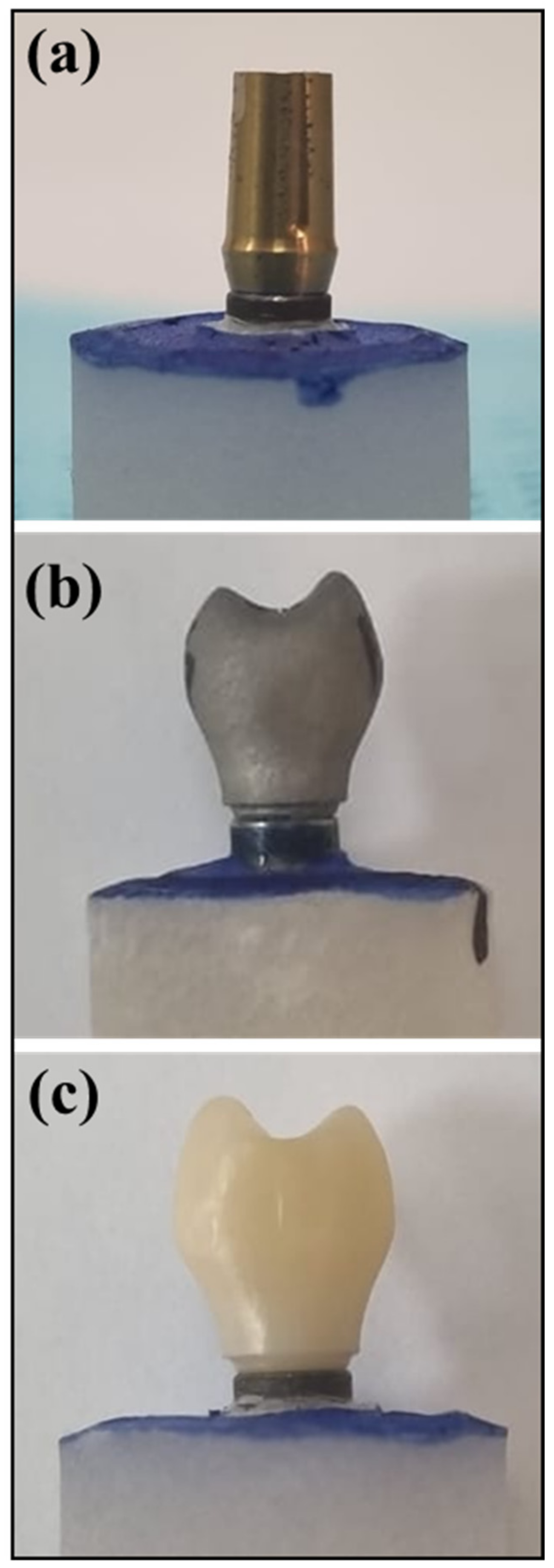 Bioengineering 11 00448 g001