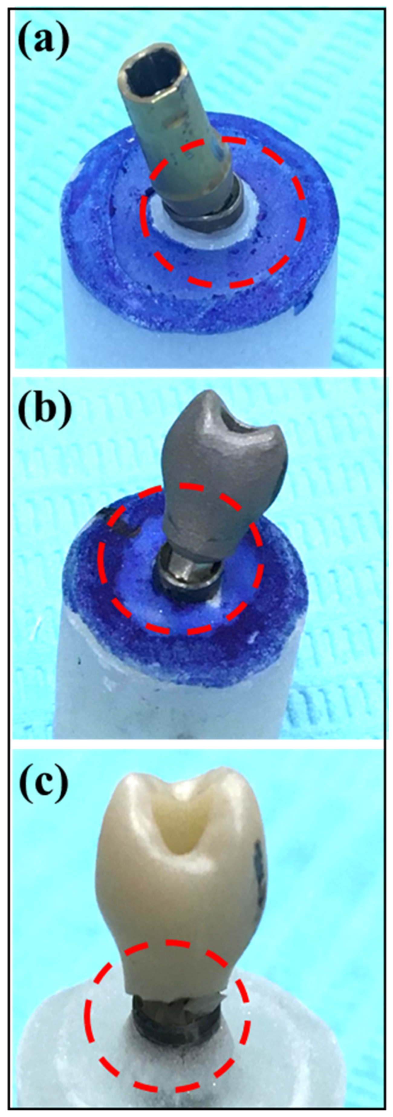 Bioengineering 11 00448 g002