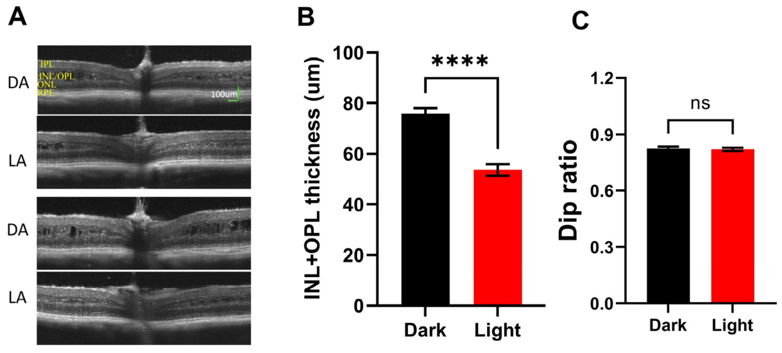 Bioengineering 11 00449 g005