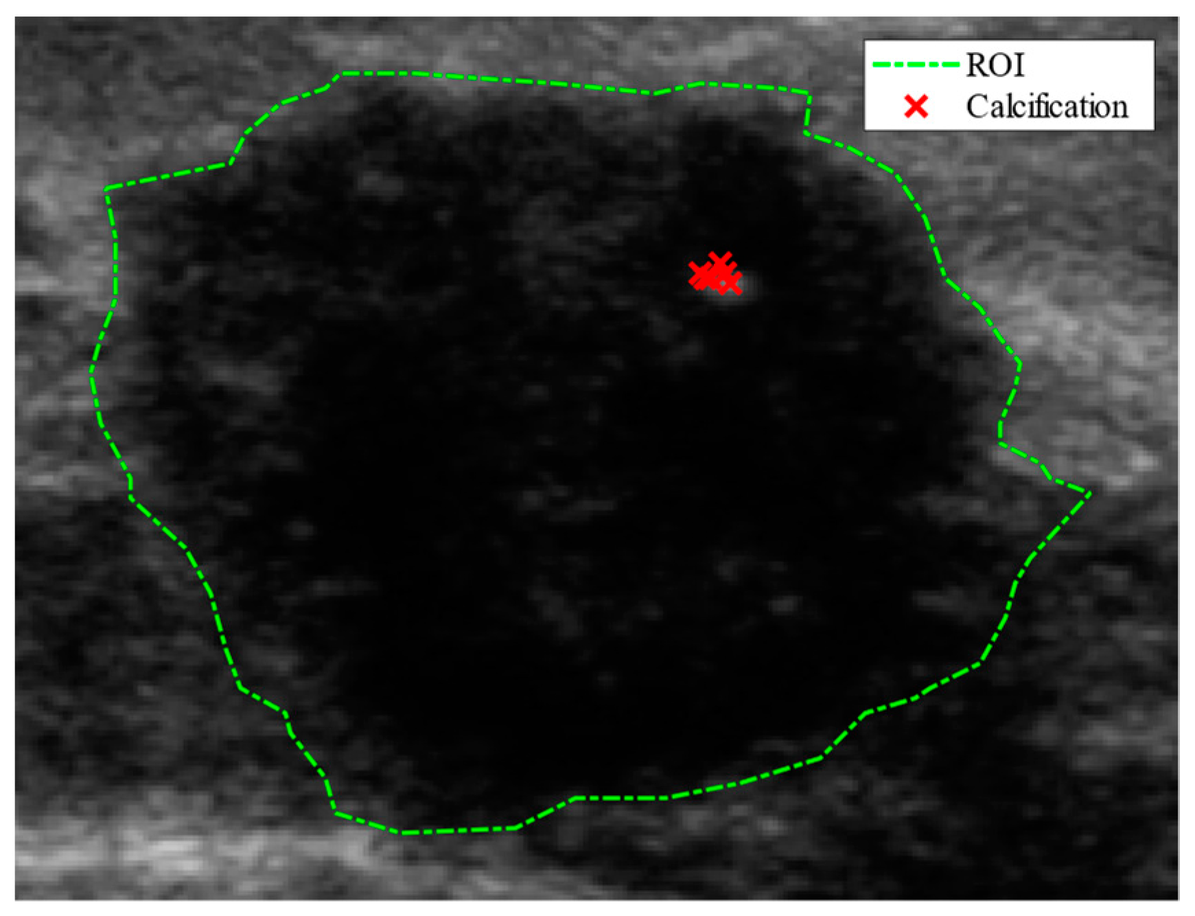 Bioengineering 11 00453 g001