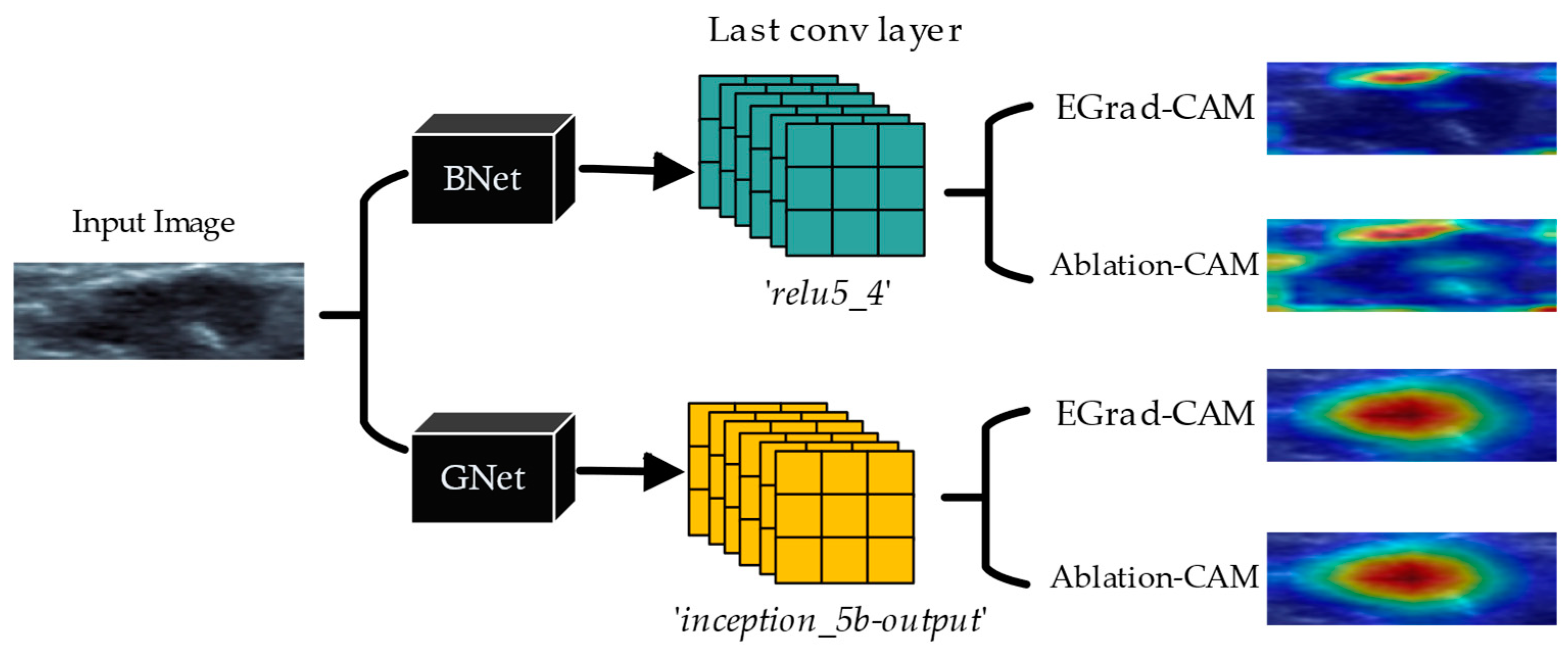 Bioengineering 11 00453 g003