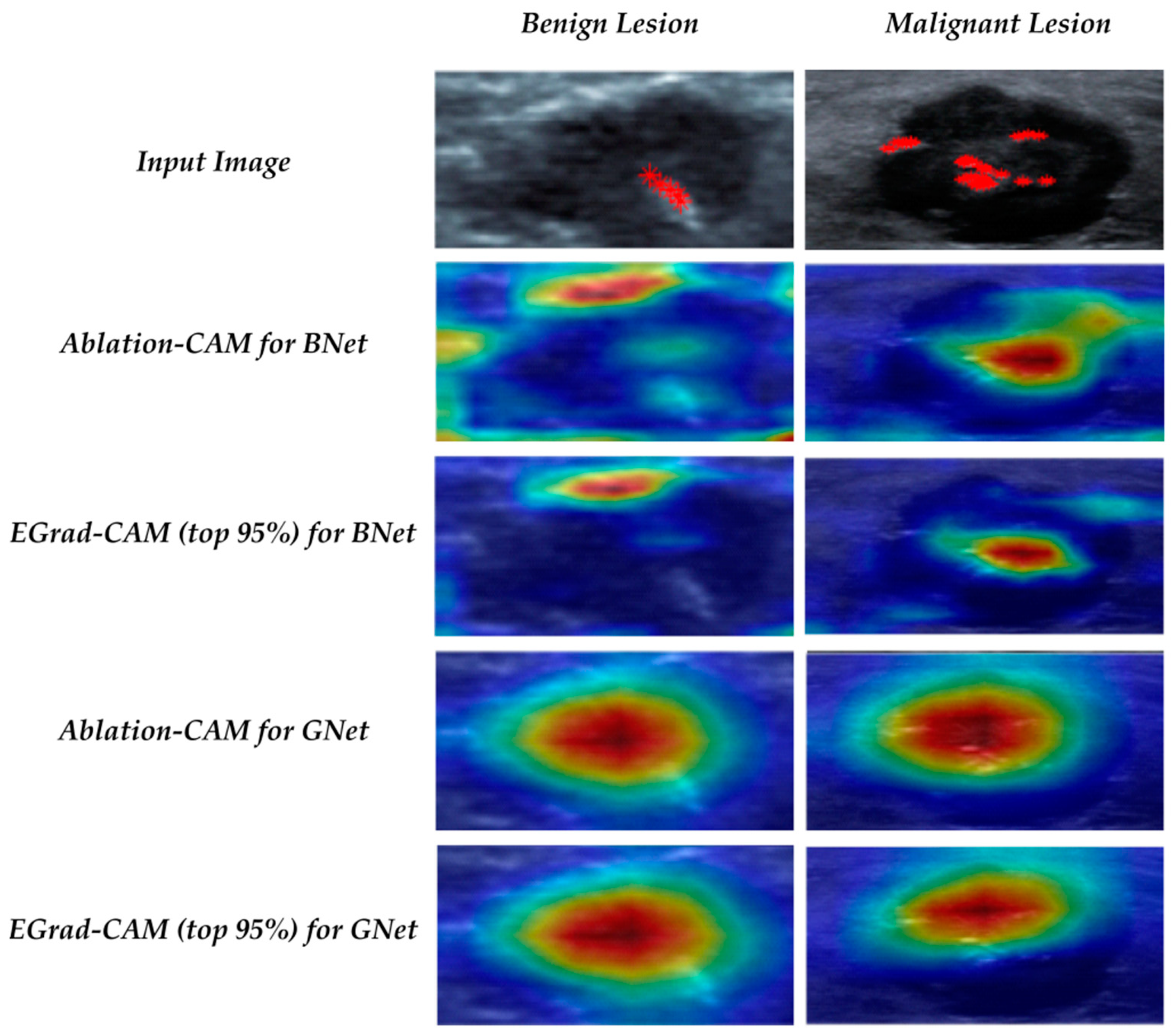 Bioengineering 11 00453 g006