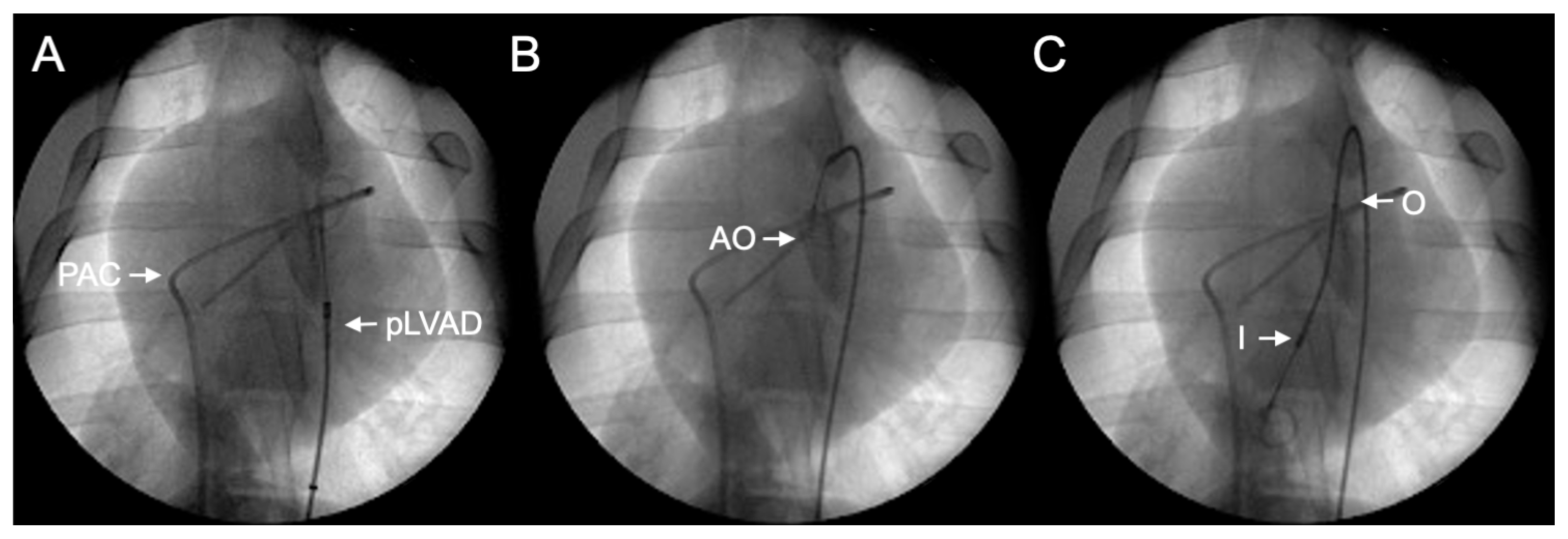 Bioengineering 11 00456 g002