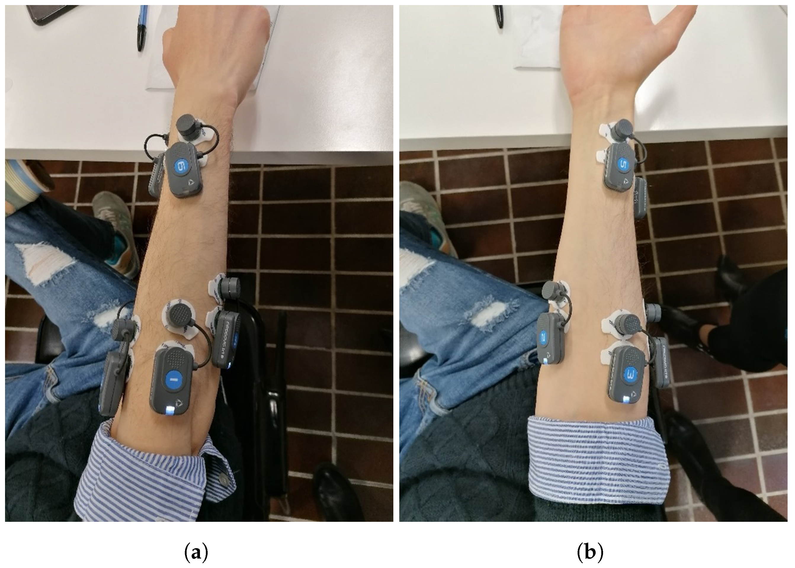 Bioengineering 11 00458 g001