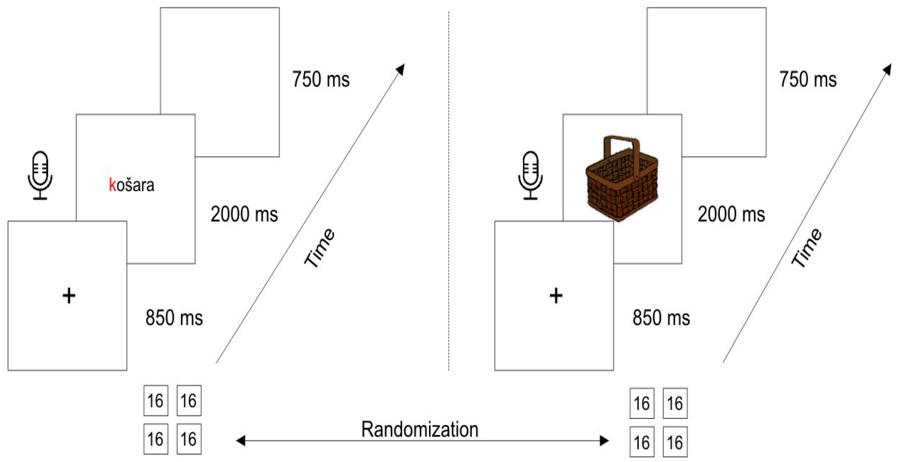 Bioengineering 11 00459 g001