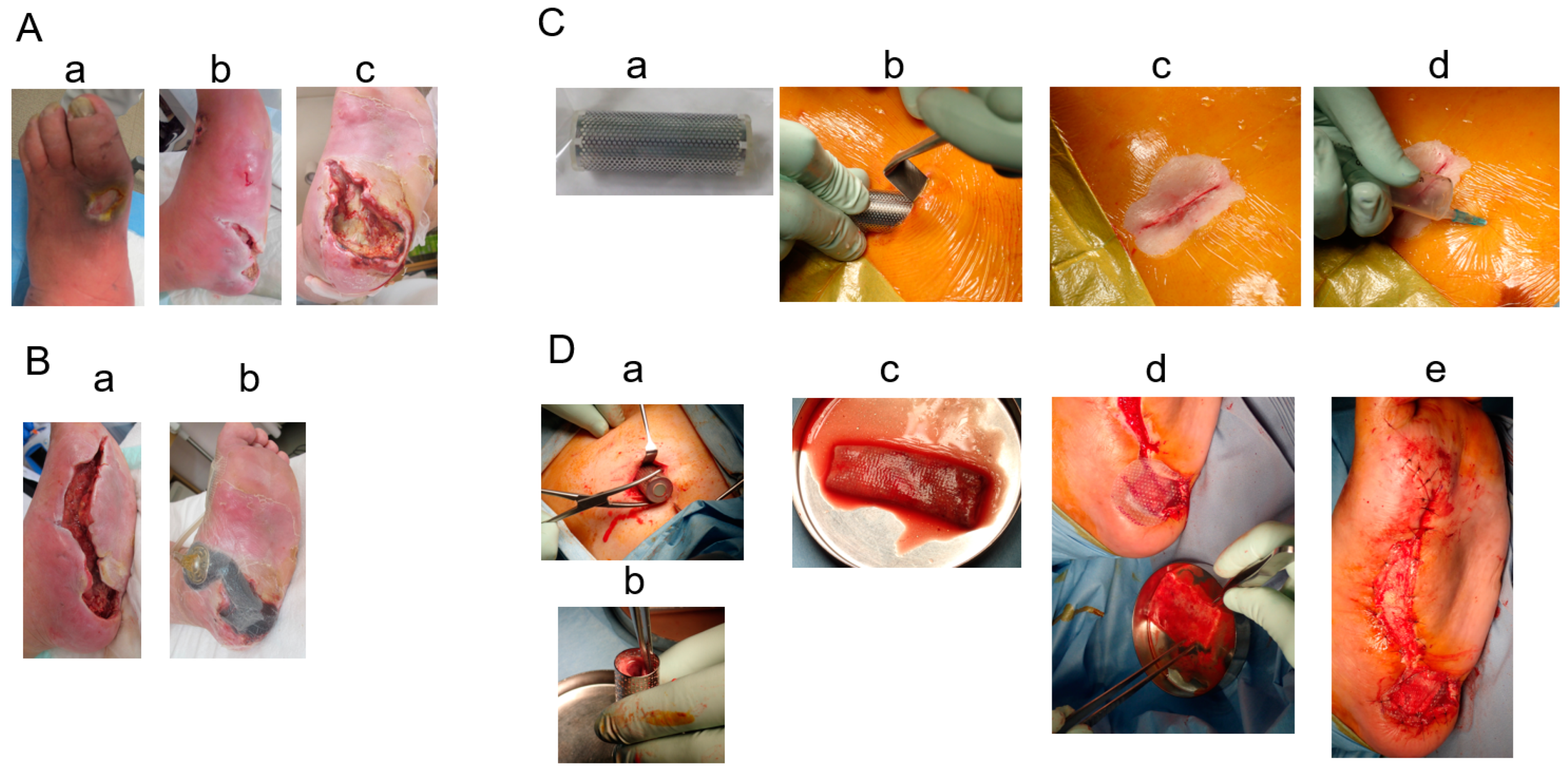 Bioengineering 11 00462 g001