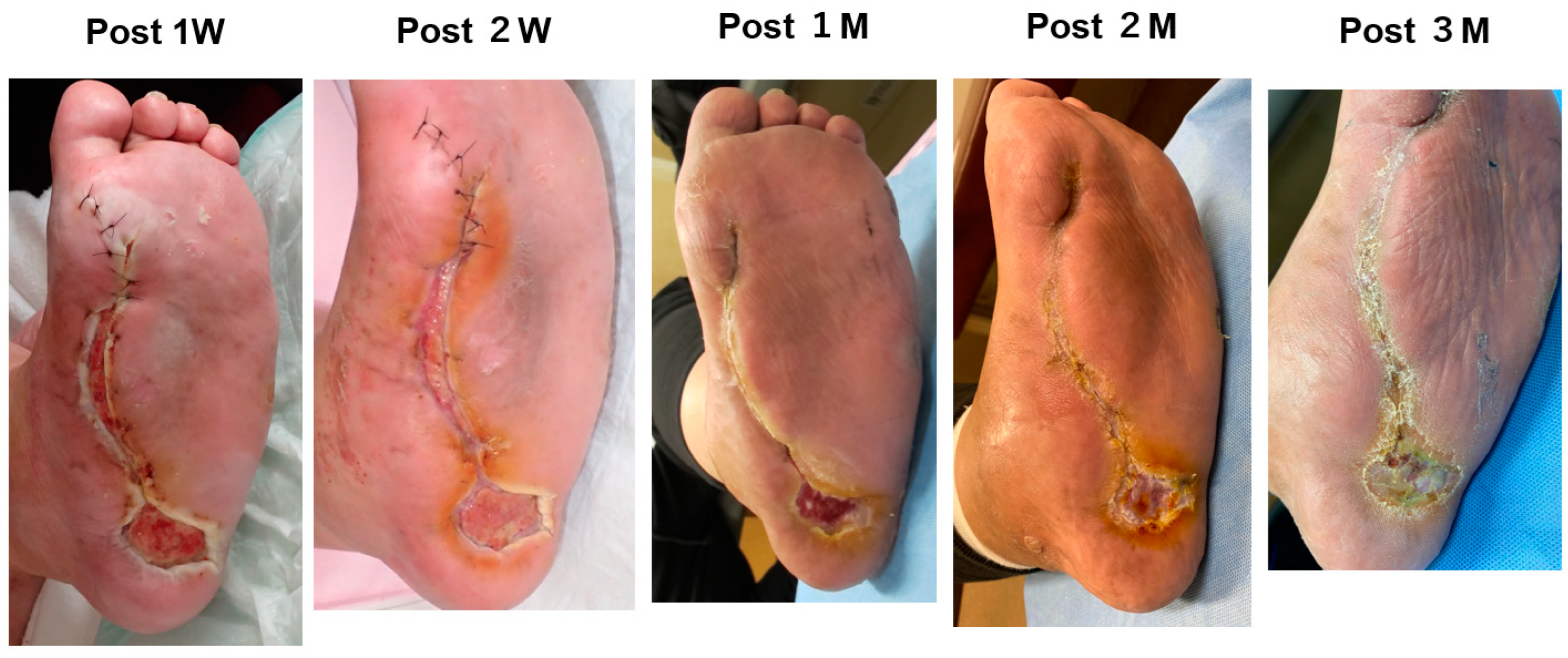 Bioengineering 11 00462 g002