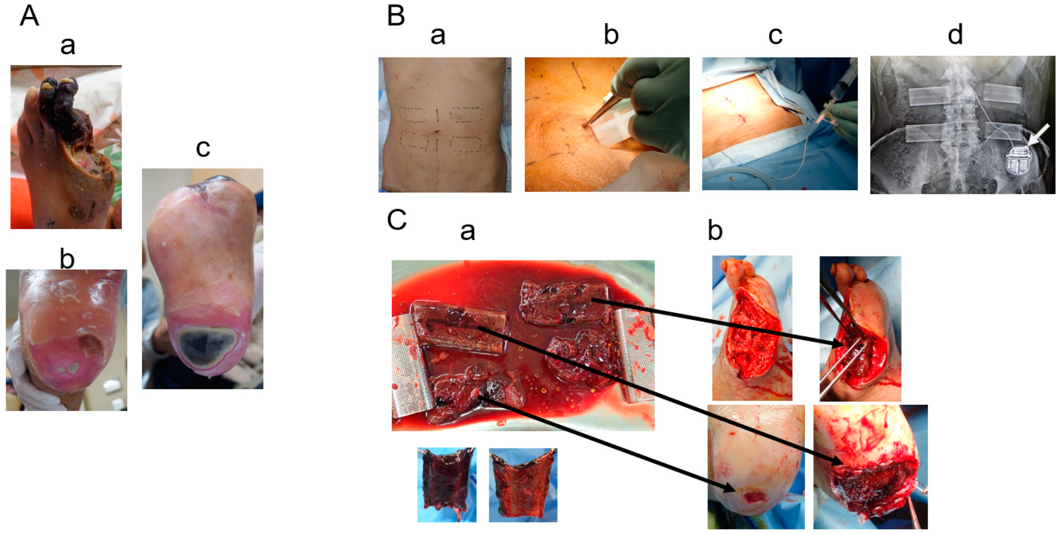 Bioengineering 11 00462 g003