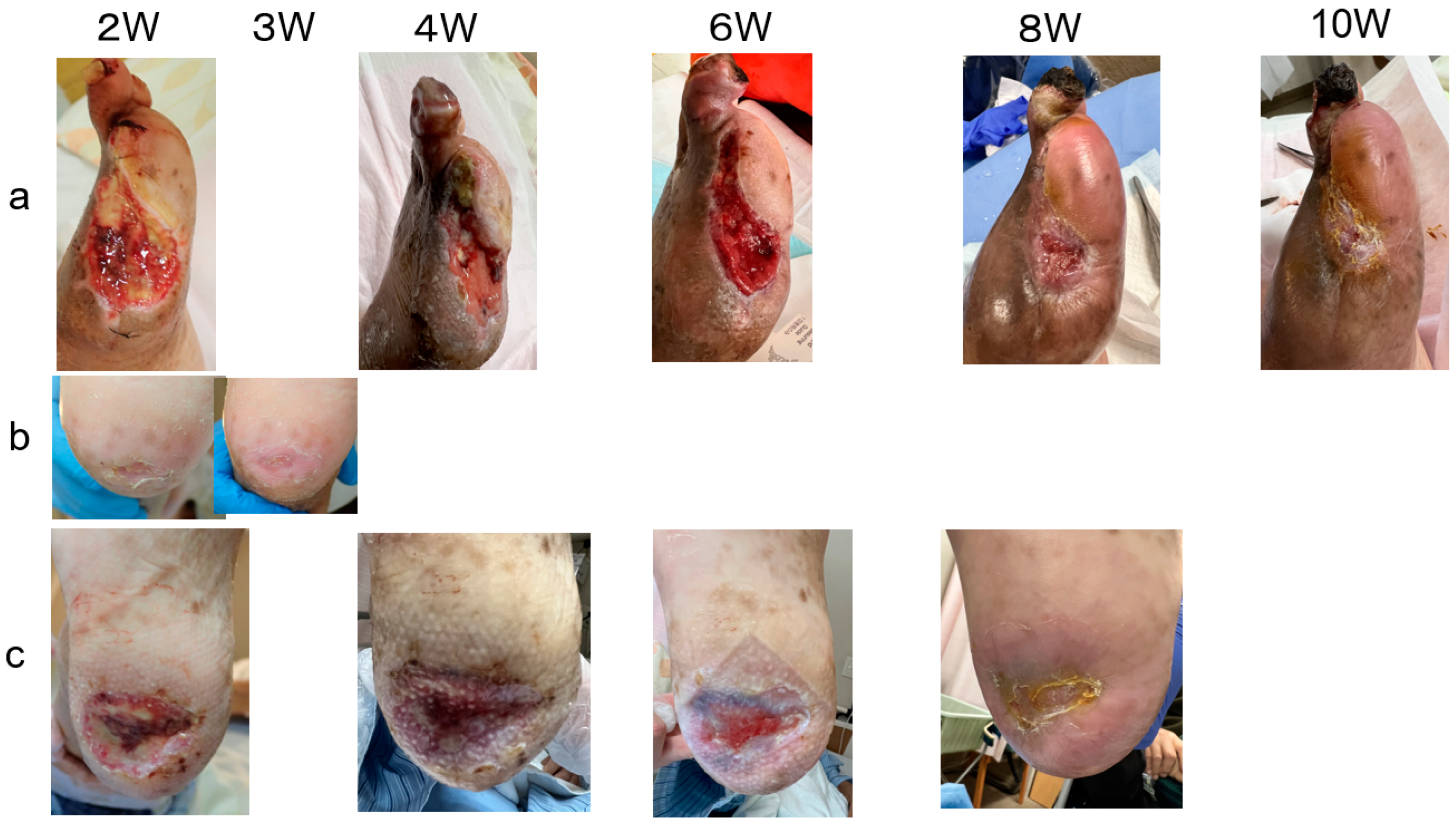 Bioengineering 11 00462 g004