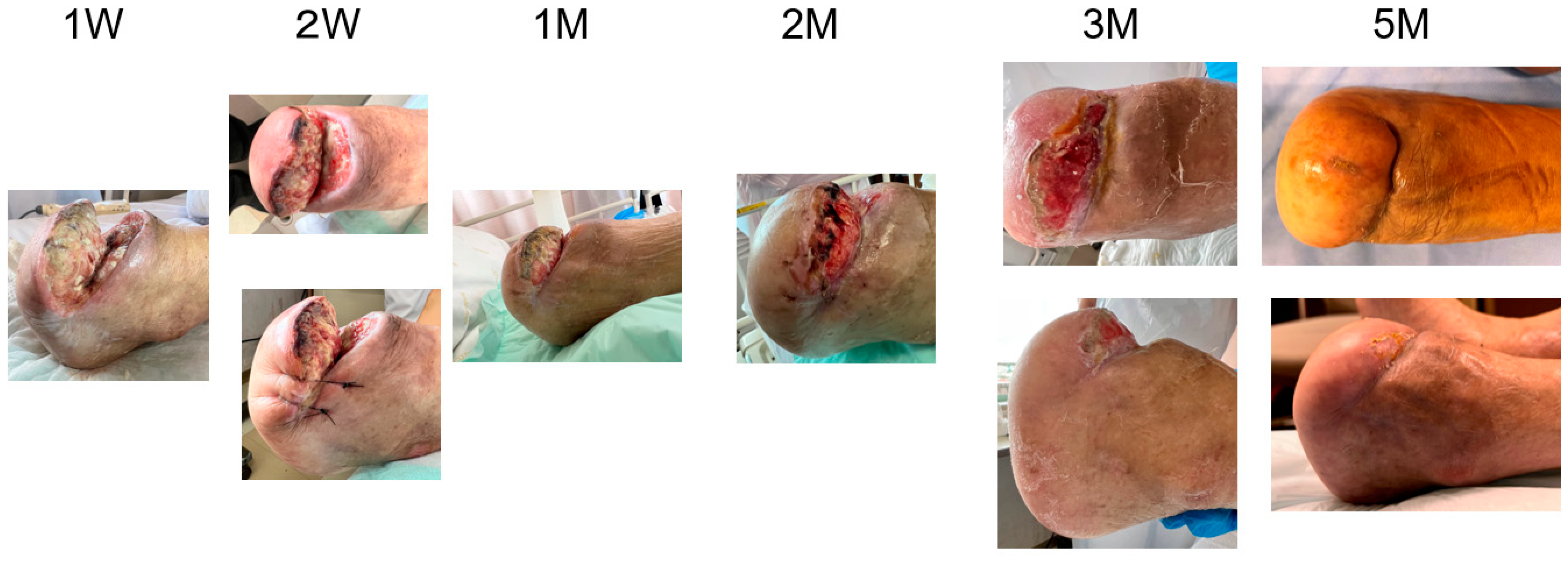 Bioengineering 11 00462 g006