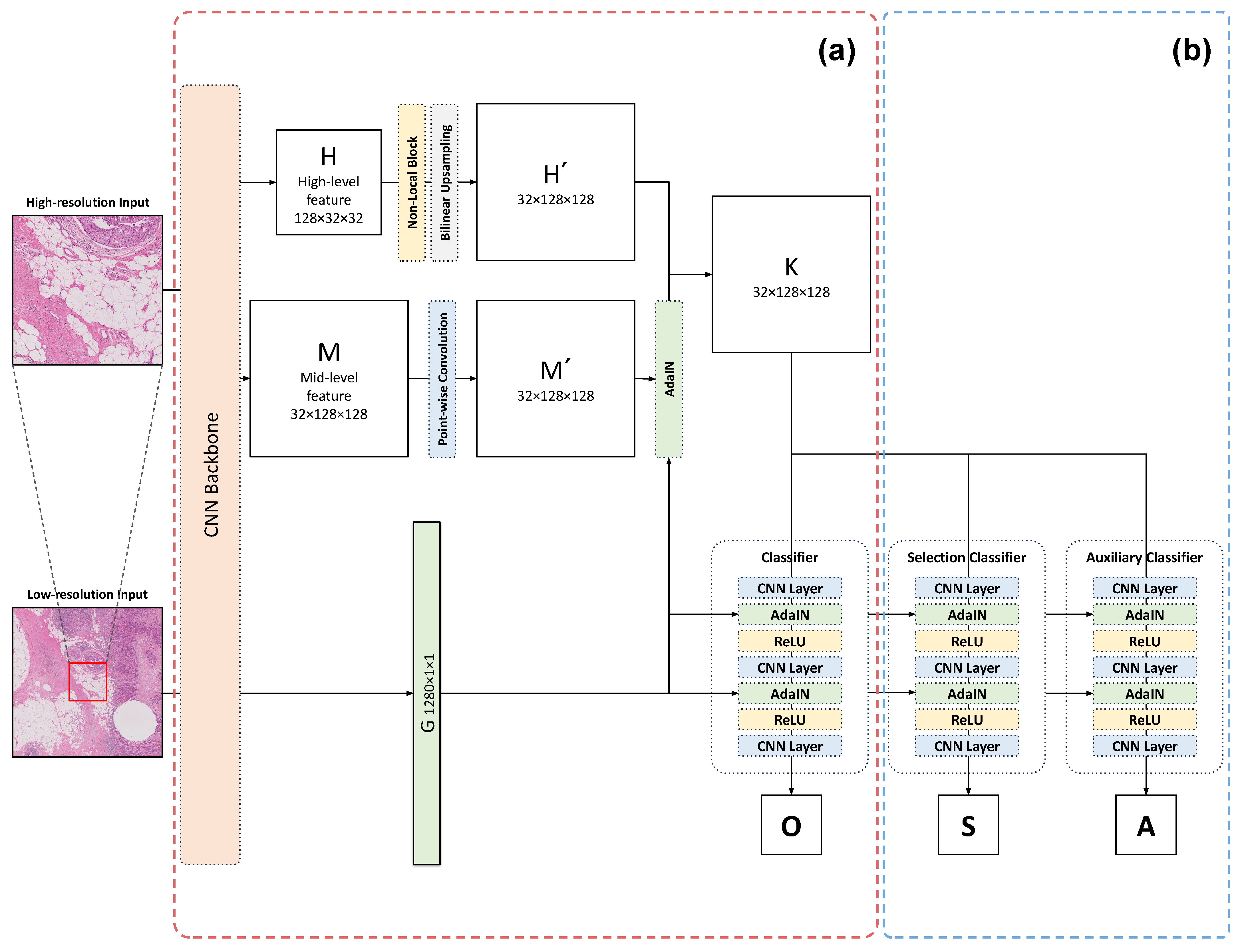 Bioengineering 11 00463 g001