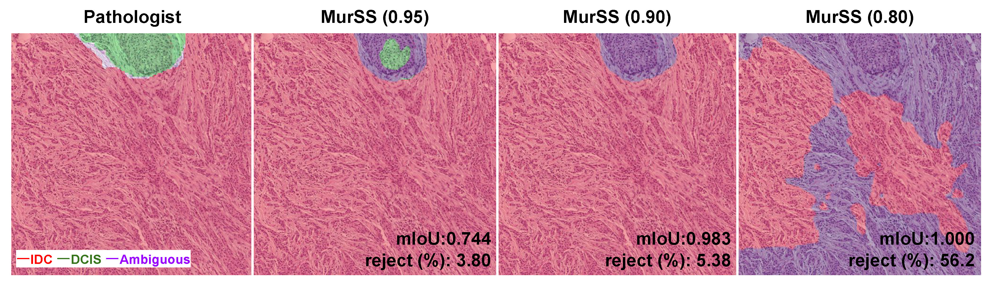 Bioengineering 11 00463 g002