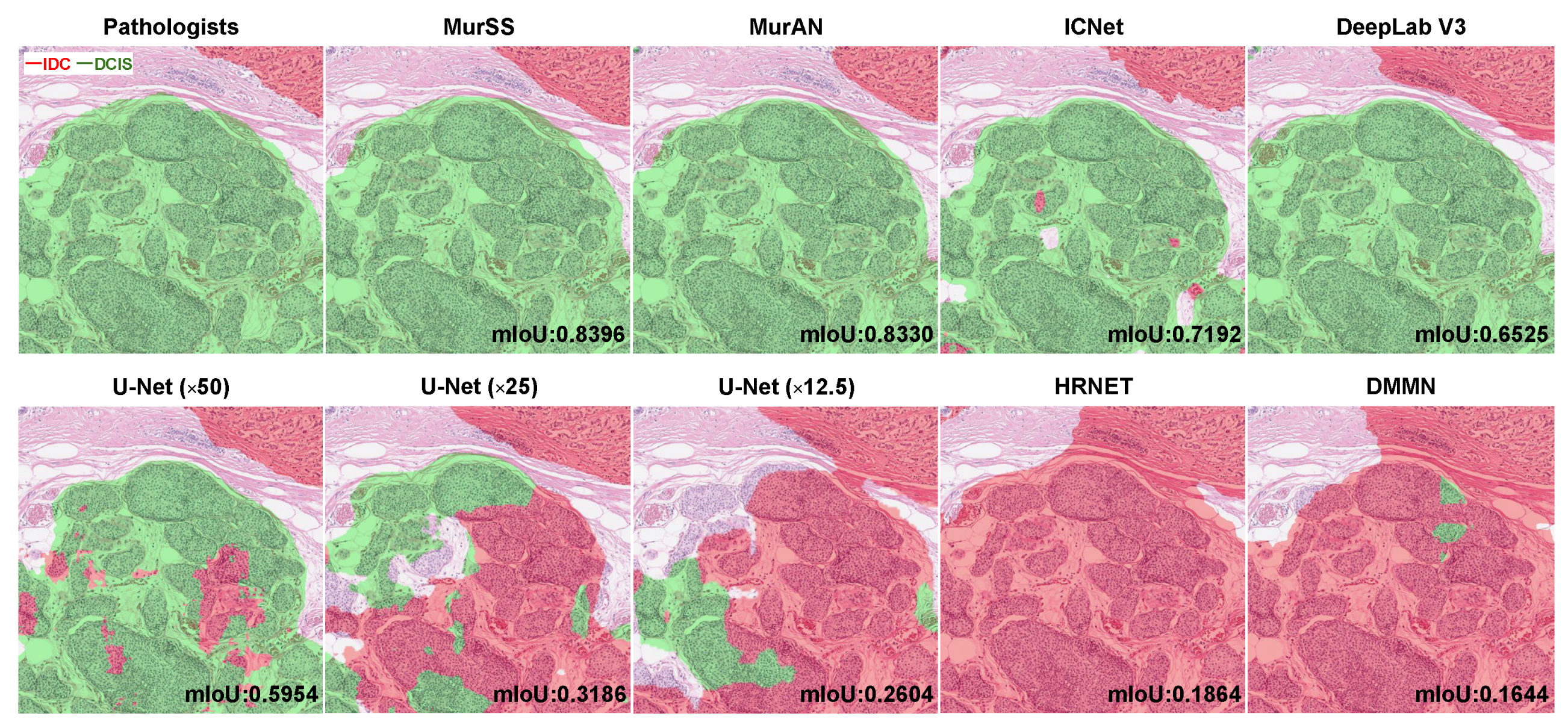 Bioengineering 11 00463 g003