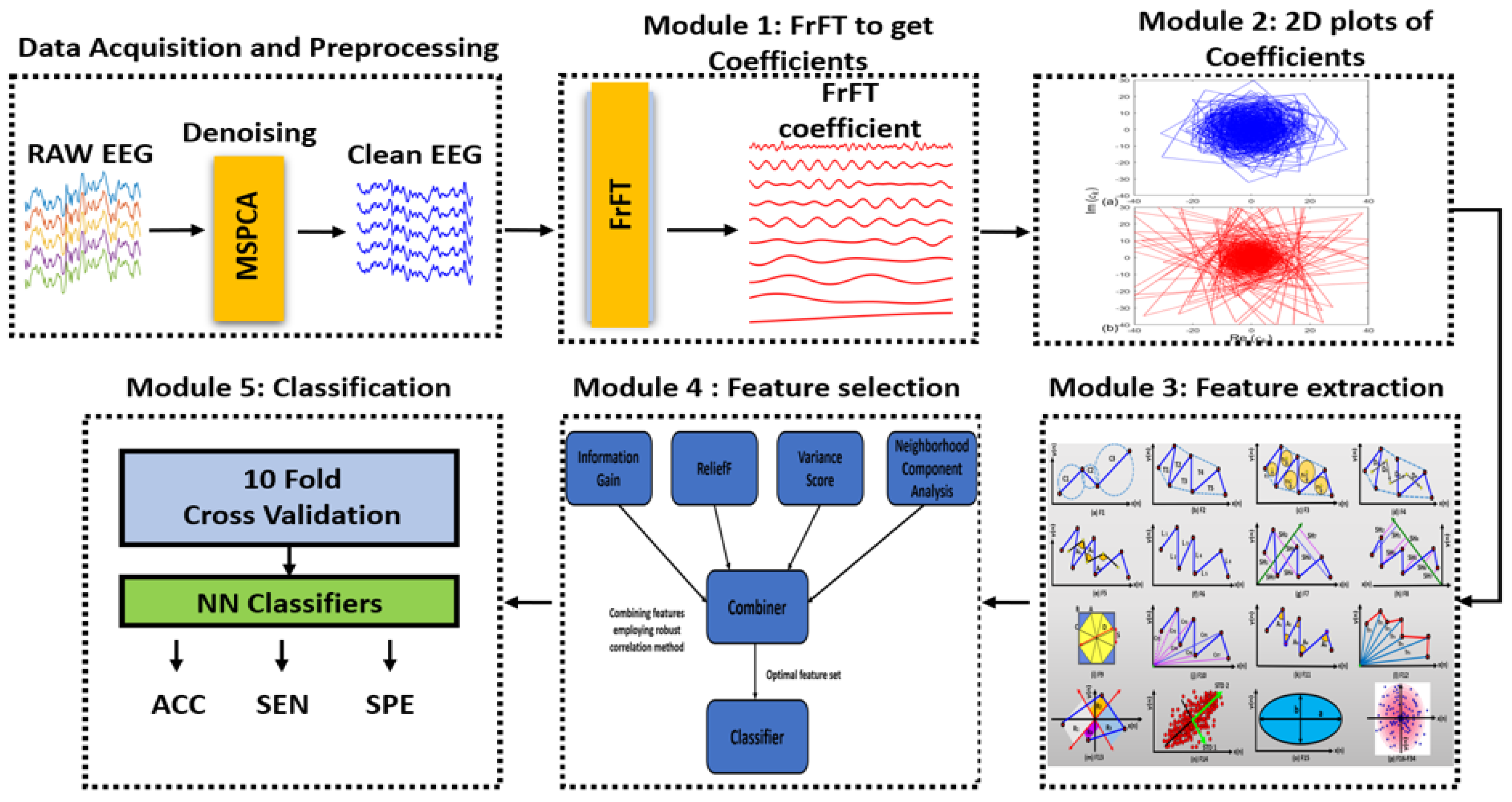 Bioengineering 11 00464 g002