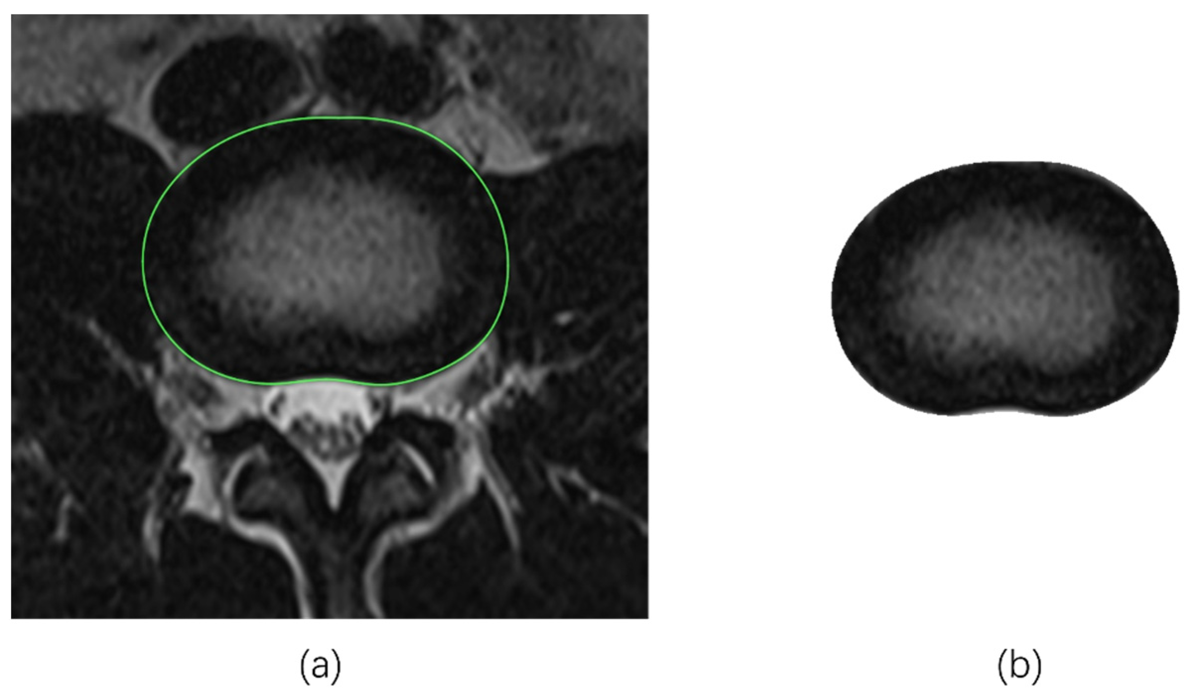 Bioengineering 11 00466 g002