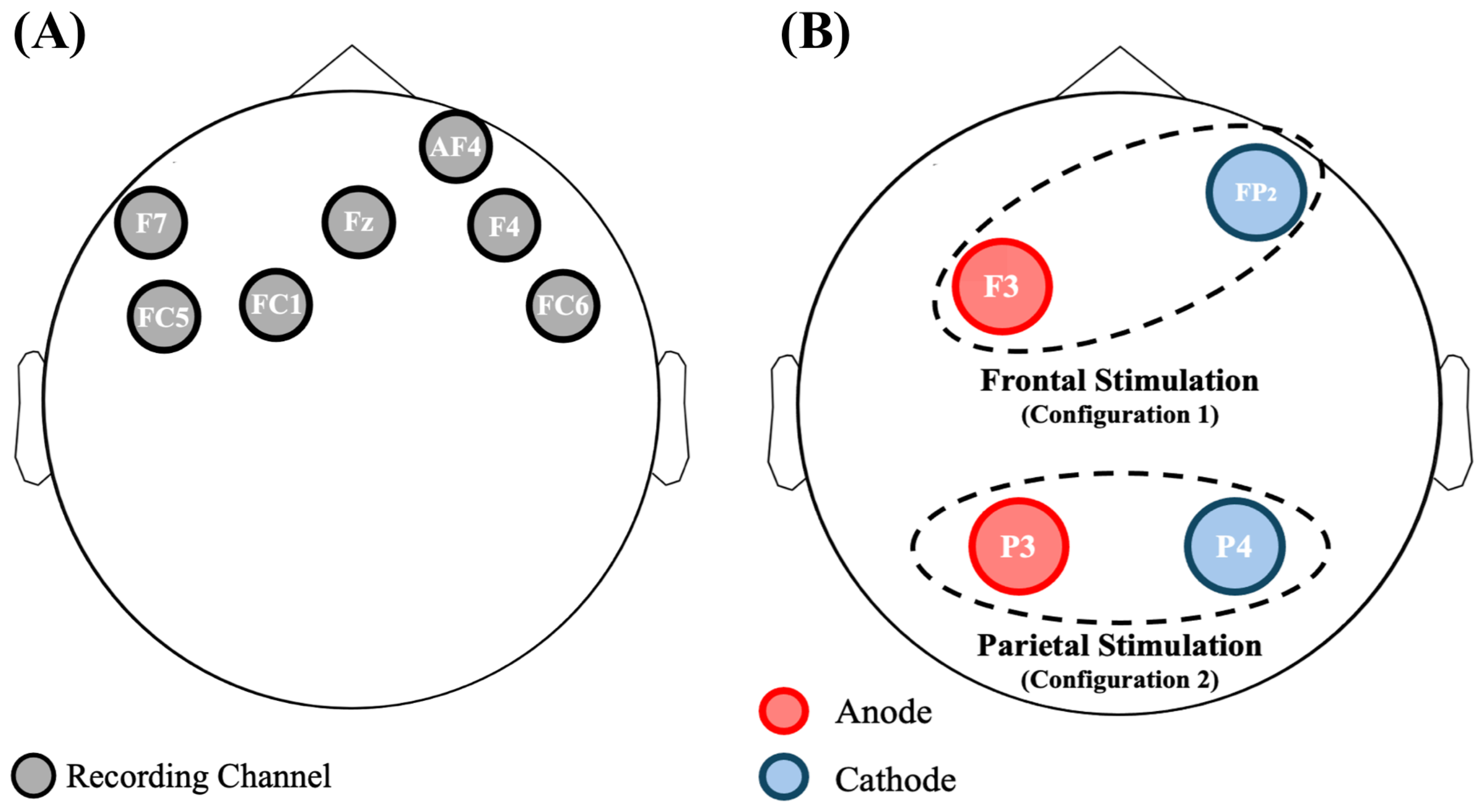 Bioengineering 11 00467 g001