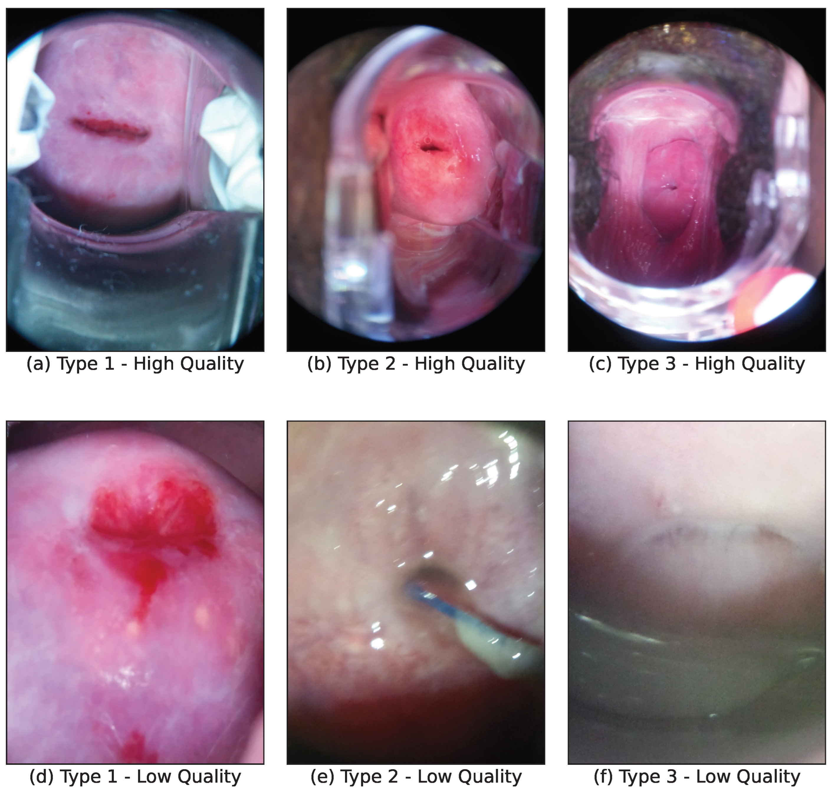 Bioengineering 11 00468 g001