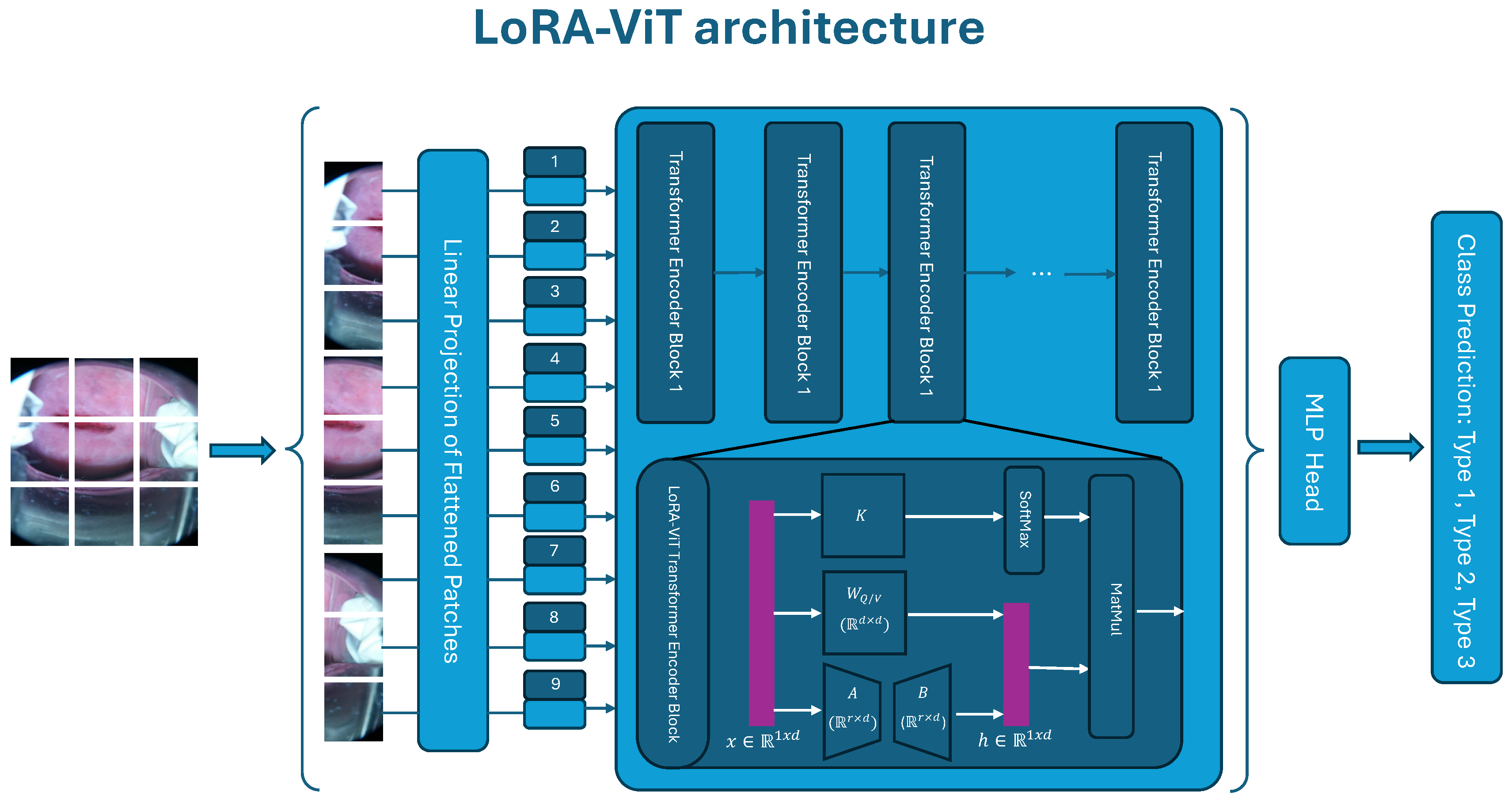 Bioengineering 11 00468 g002