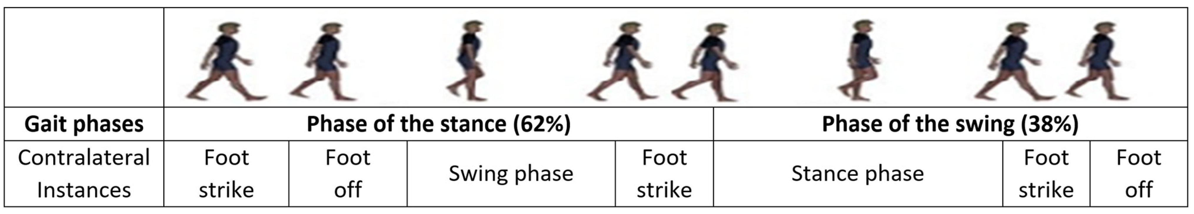Bioengineering 11 00477 g001