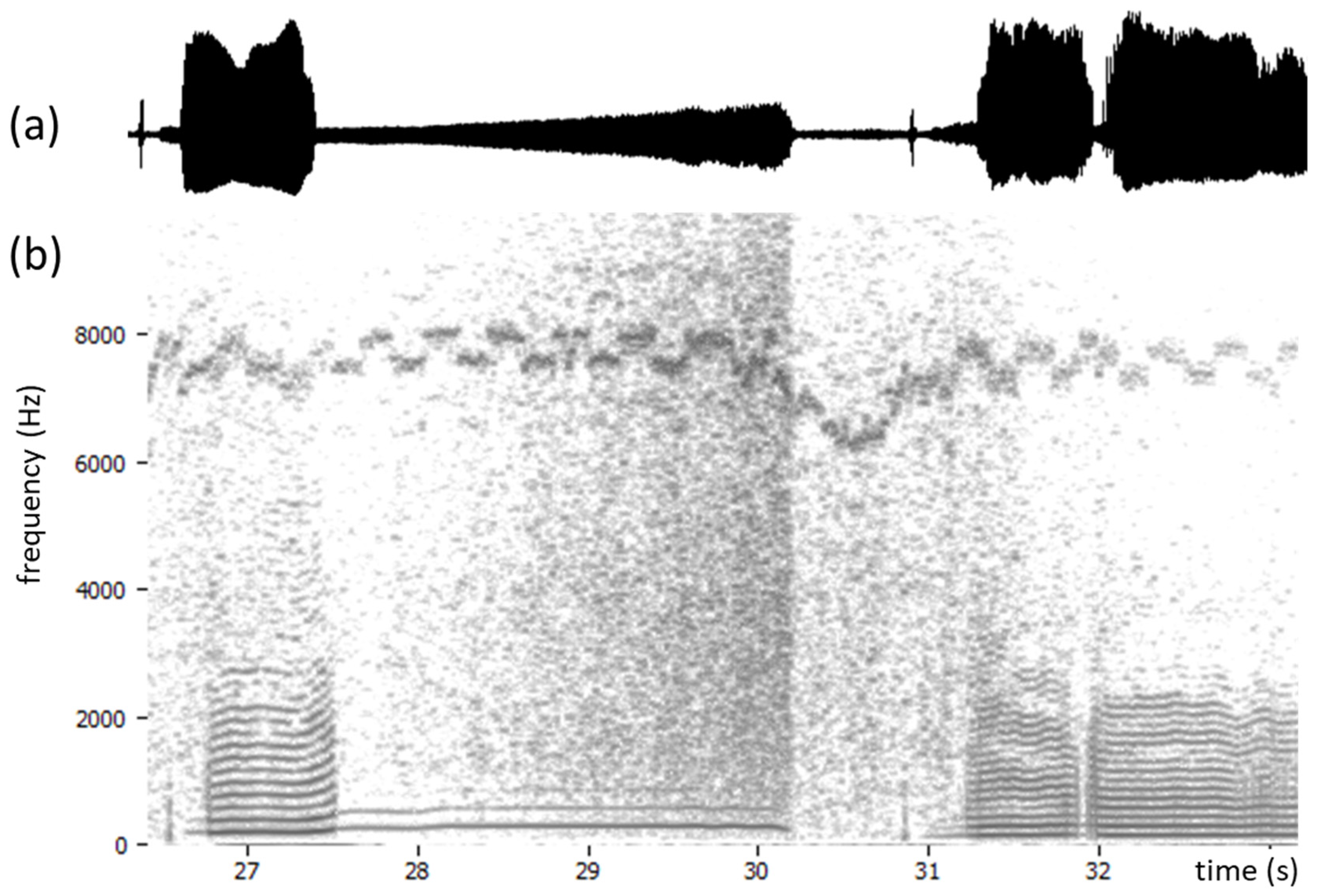 Bioengineering 11 00479 g010