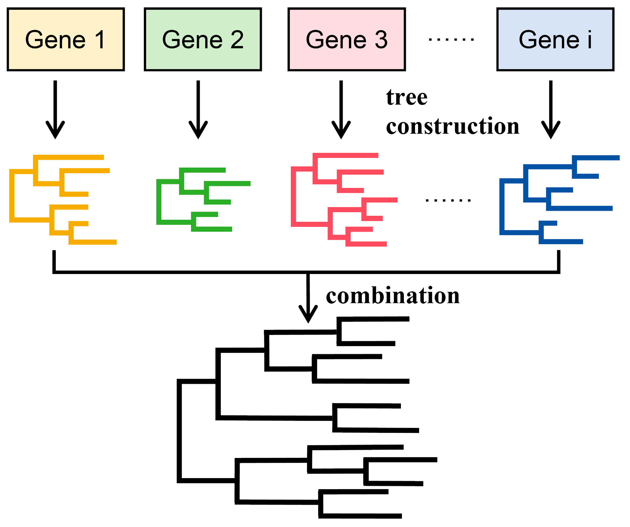 Bioengineering Free FullText Common Methods For Tree 